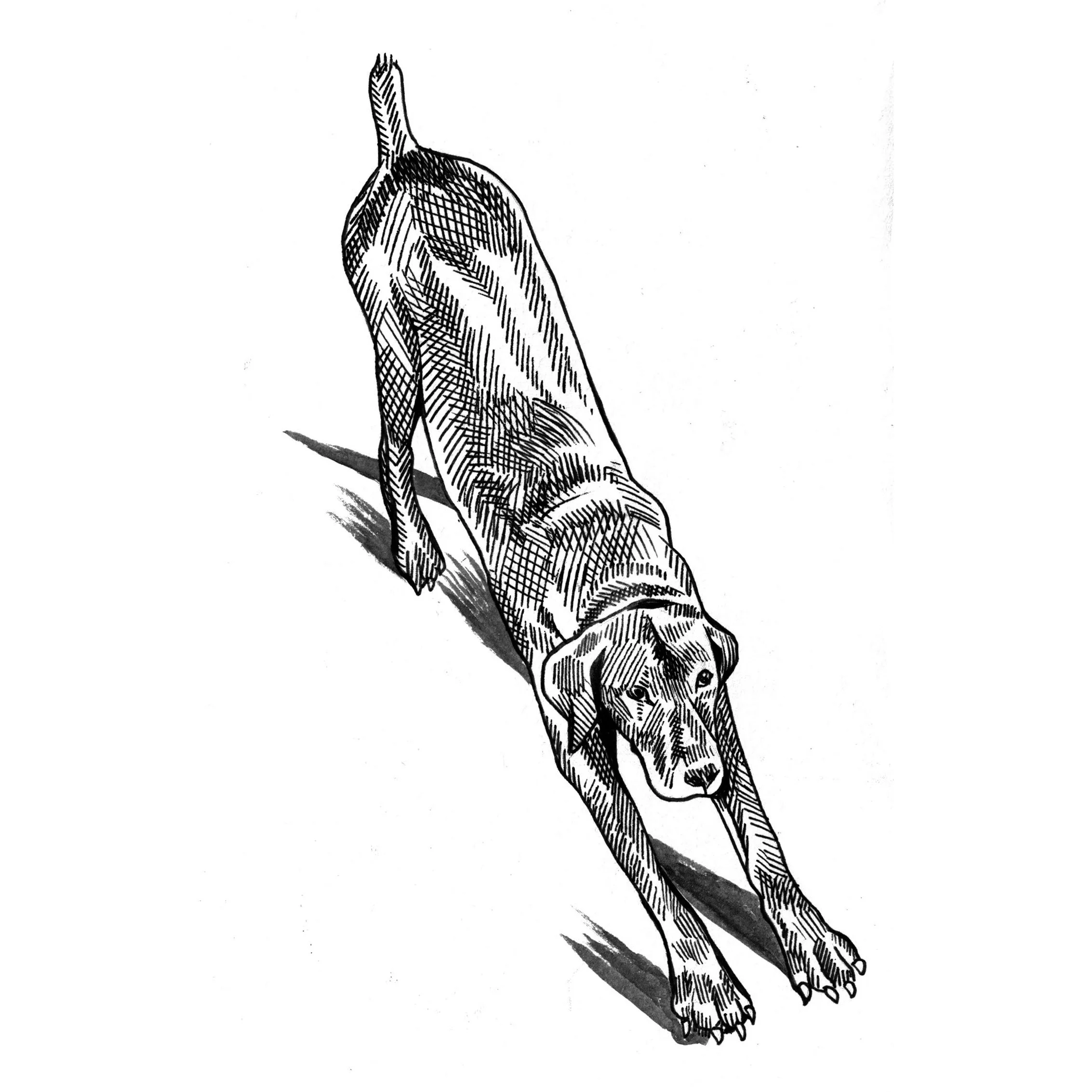 01.jpg