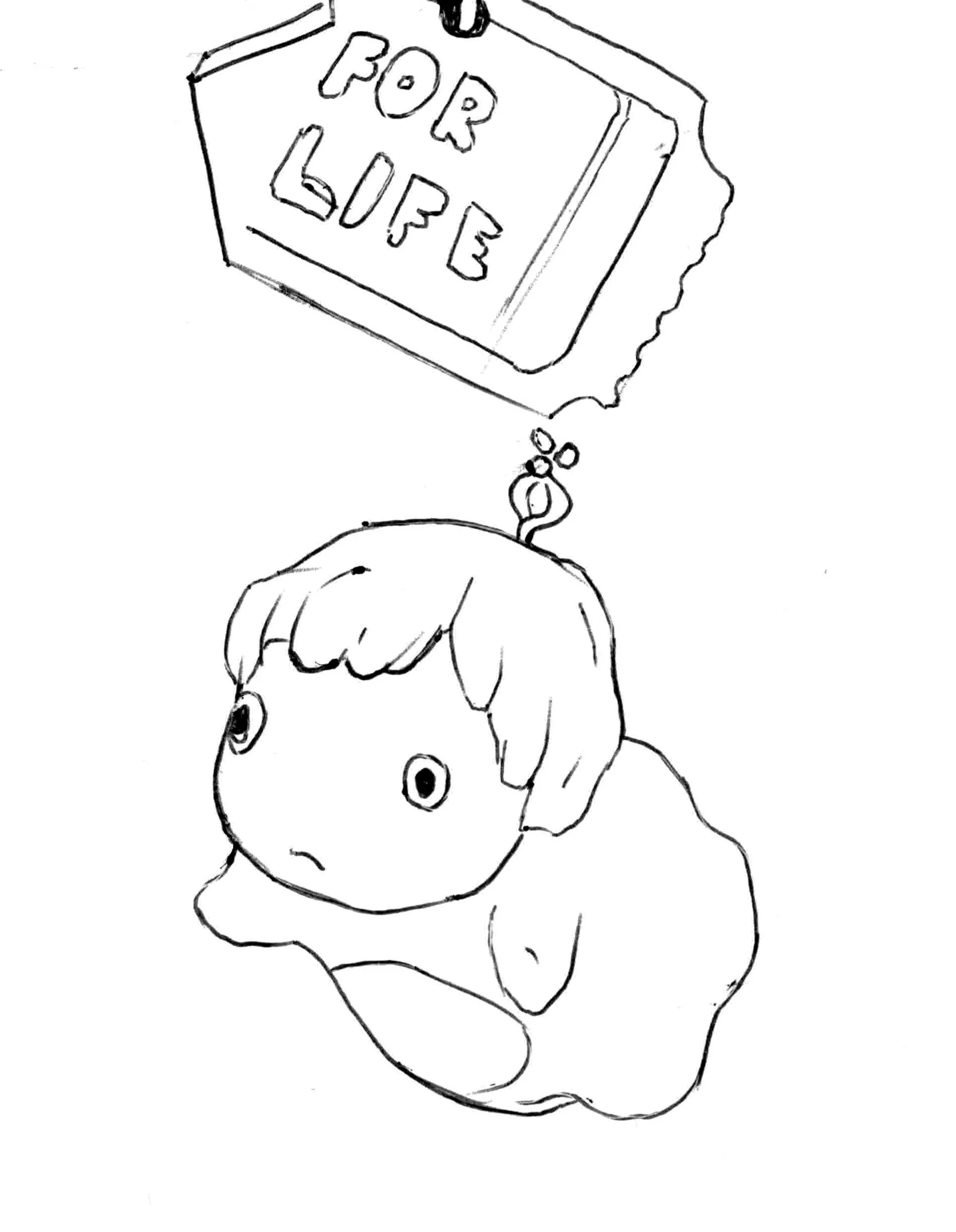 page06.jpg