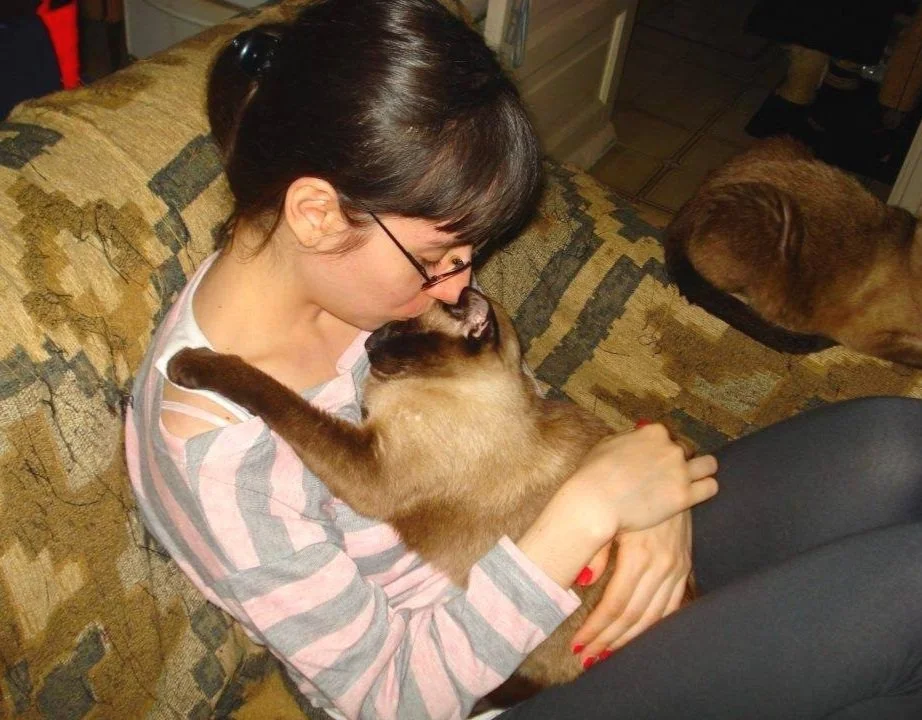 woman sat on sofa cuddling siamese cat