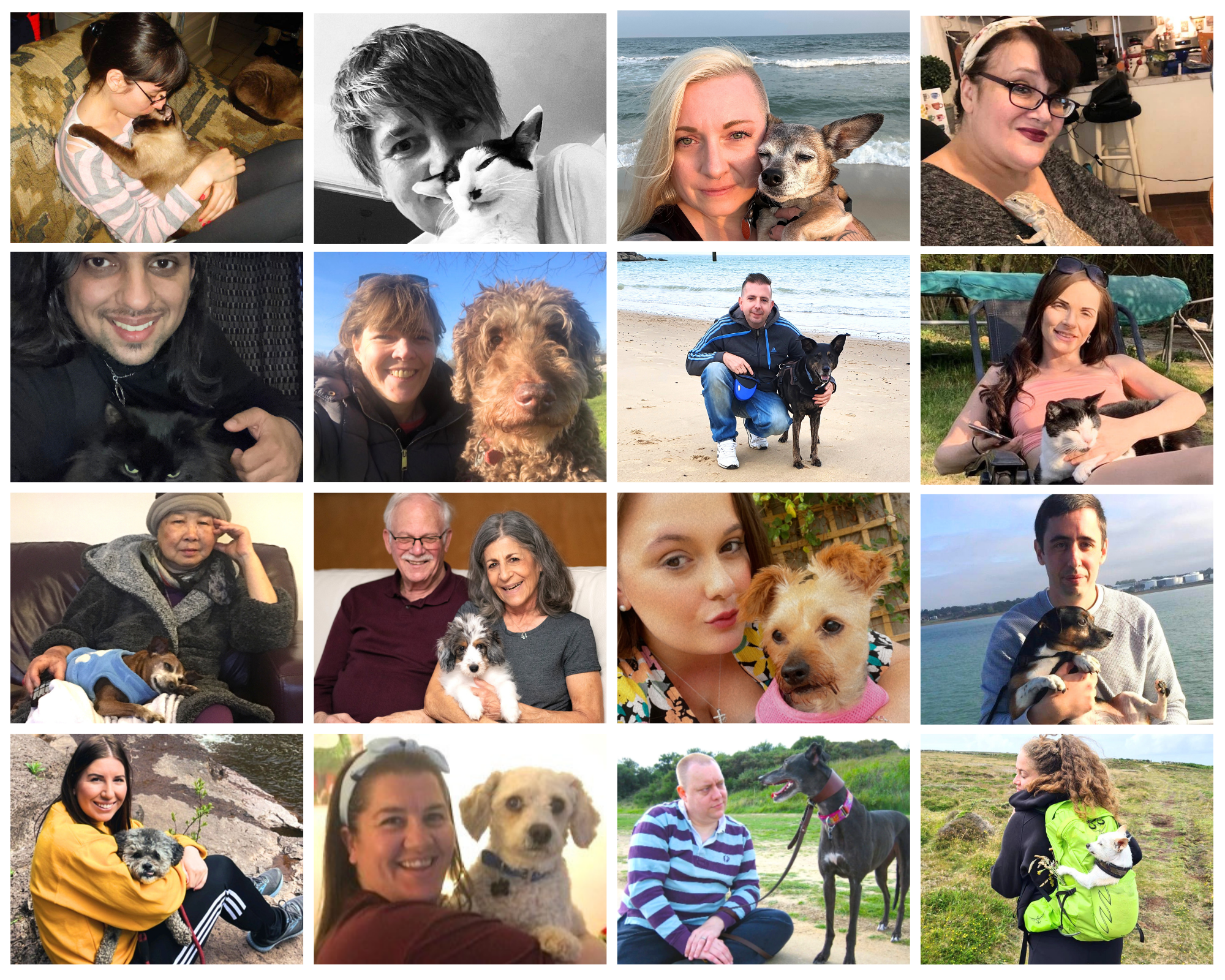Collage of 16 grieving pet parents hold their cat or dog