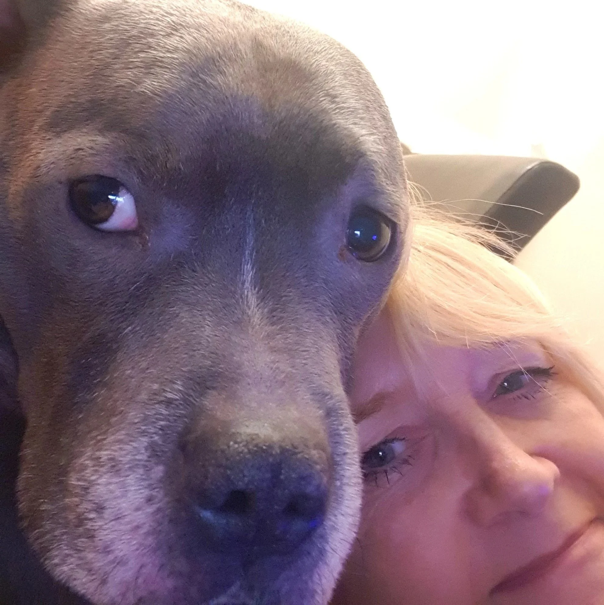 Lady with blue Staffy dog 