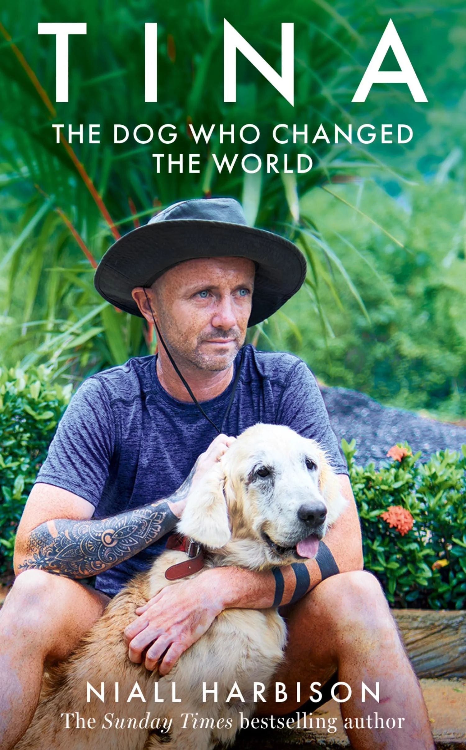 Book cover of Tina: The Dog Who Changed the World by Niall Harbison