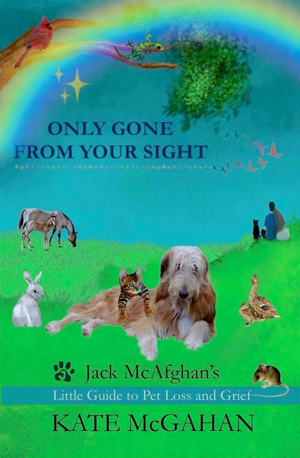 Book cover of Only Gone From Your Sight  by Kate McGahan