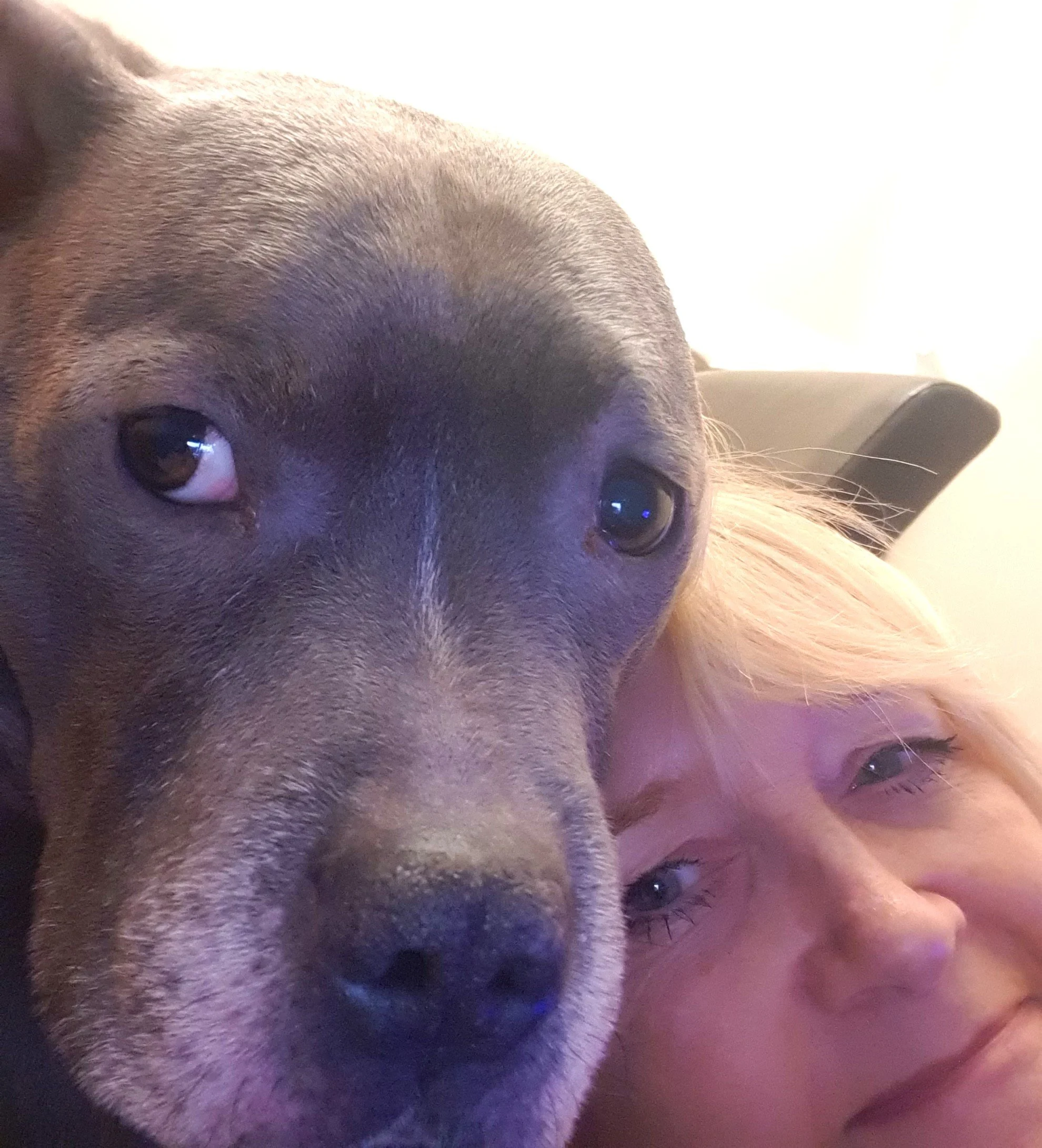 Lady with Staffy dog.