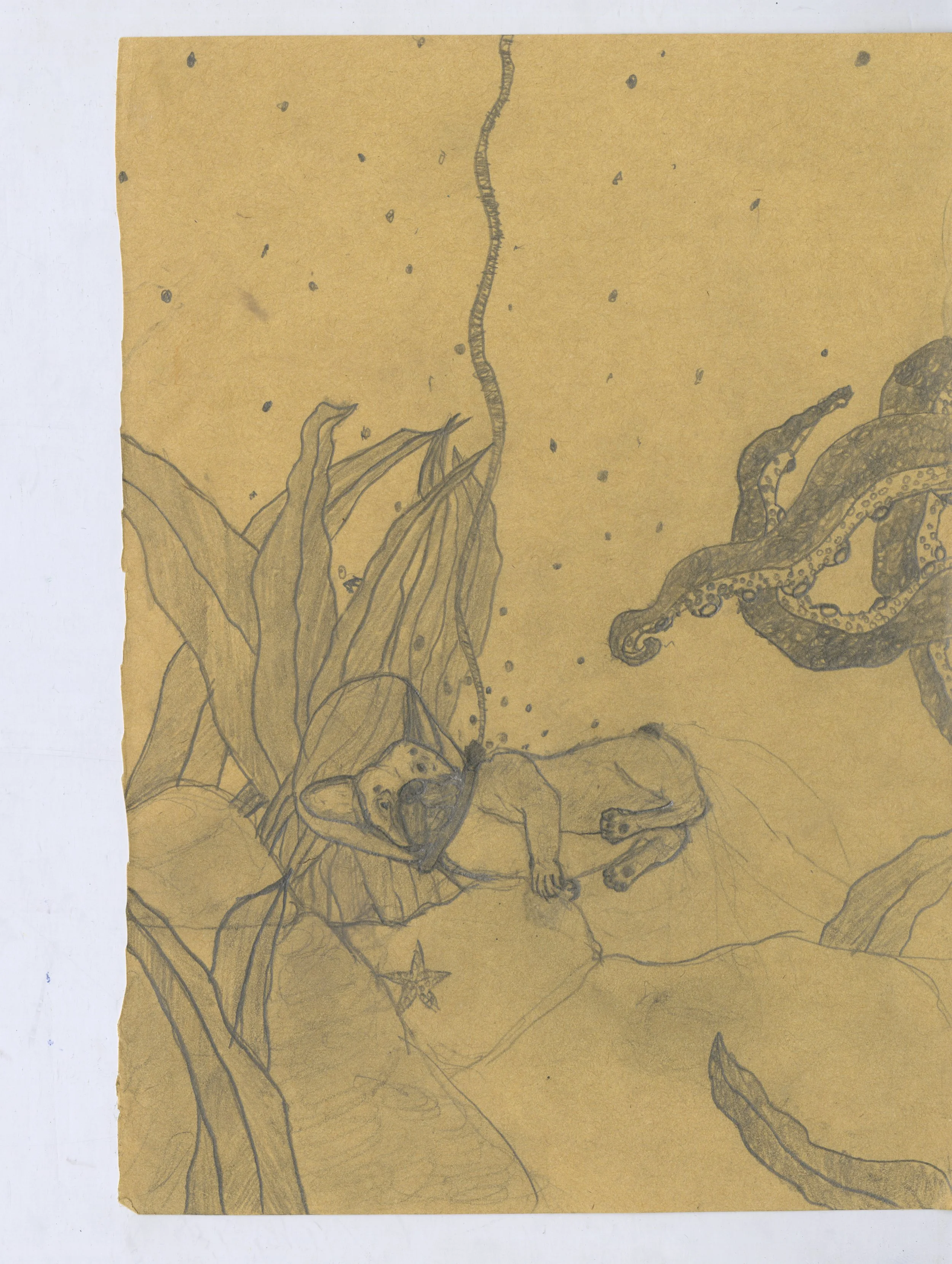 Children's Illustration