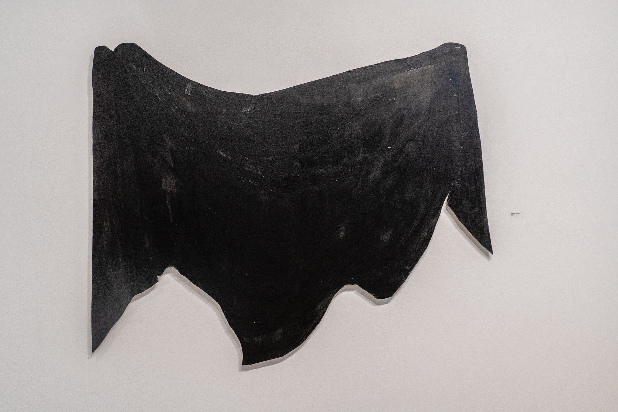 Drapes 3, 2026, Oil paint on wood Dimensions 3.5ft x 5ft