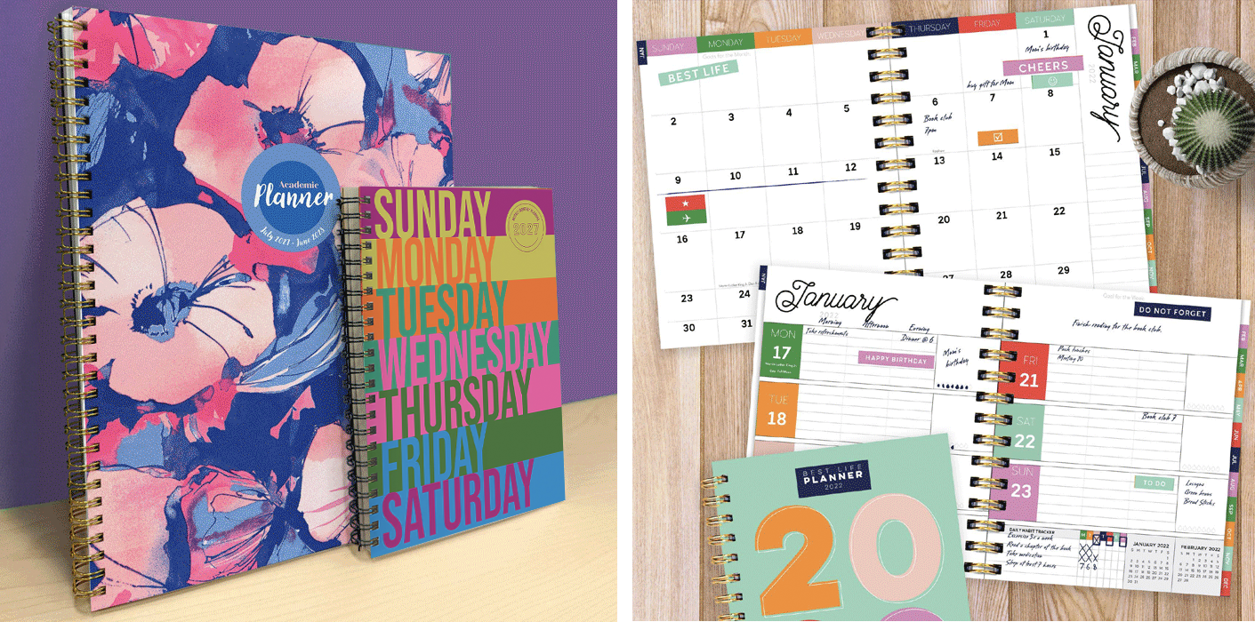 Two open planners with colorful pages and a closed planner with a floral cover. The open planners display weekly and monthly calendars with handwritten notes, and a small potted succulent plant is positioned nearby.