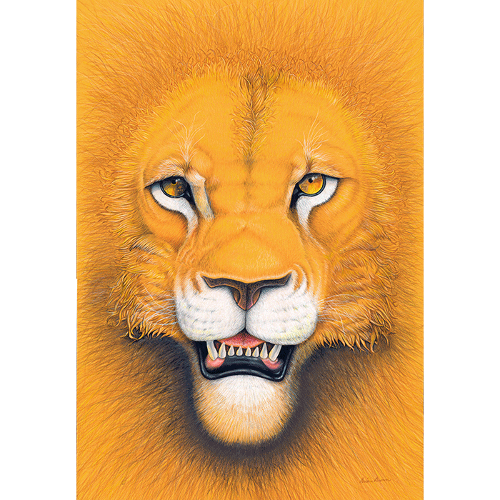 Close-up of a roaring lion's face with golden fur and piercing eyes.