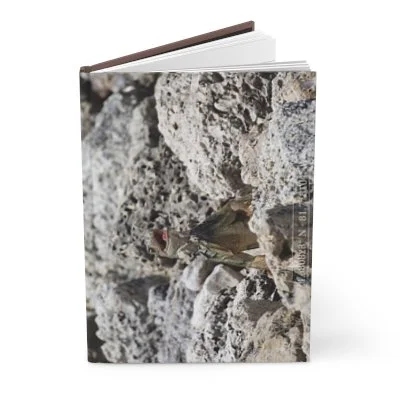 A hardcover book with a photograph of a bird perched on rocky terrain on its cover.
