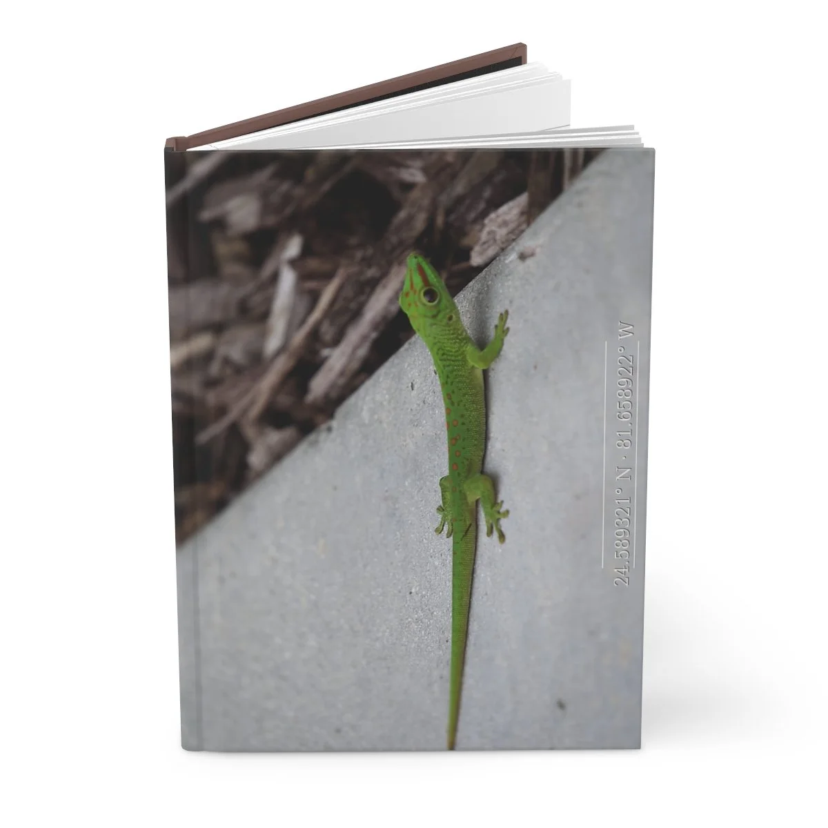 A photograph of a green lizard with brown spots on its back, climbing on a gray concrete surface against a background of brown wood and bark.