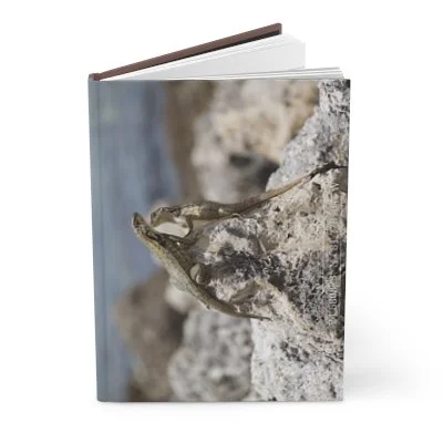 A hardcover book with a lizard on a rocky surface on the cover.