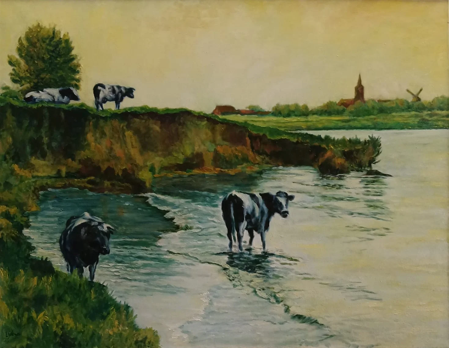 Koeien Bij De Rivier