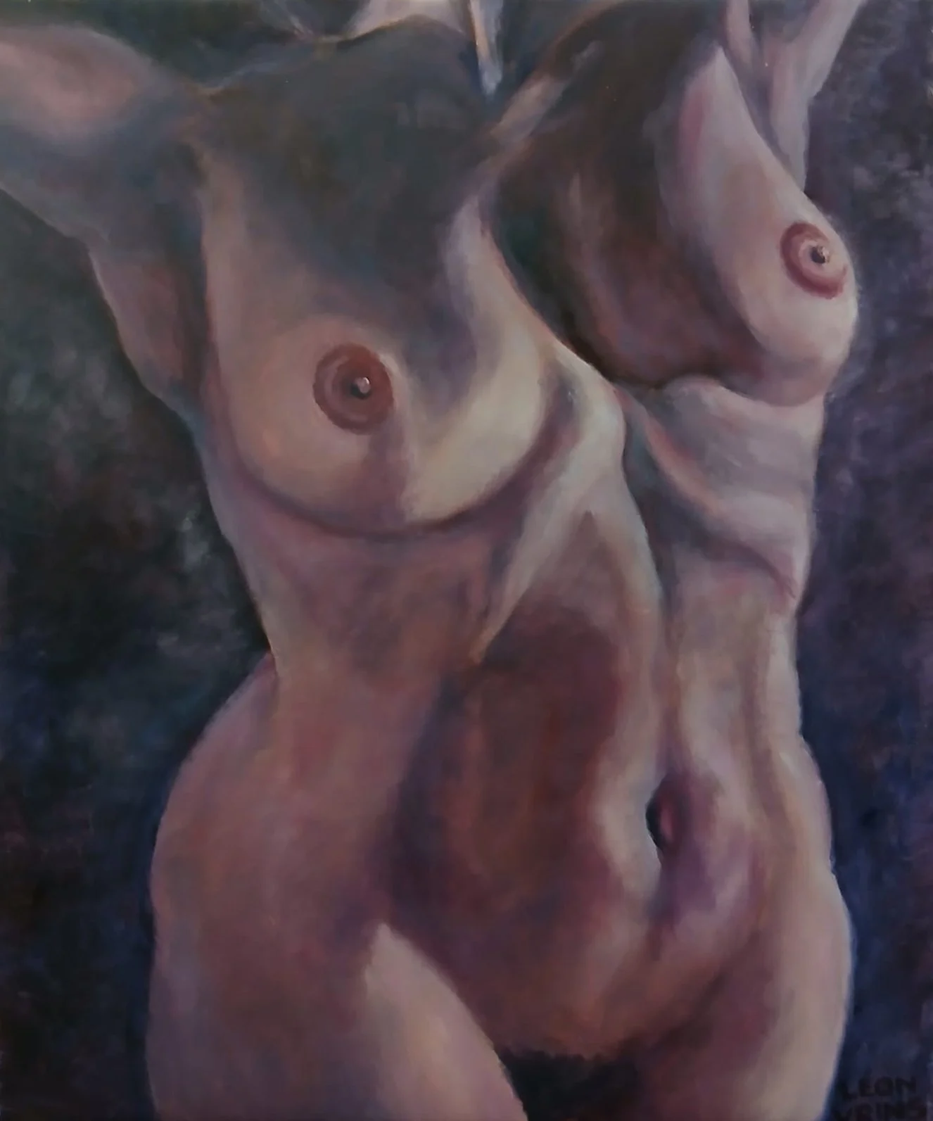 Vrouwelijke Torso