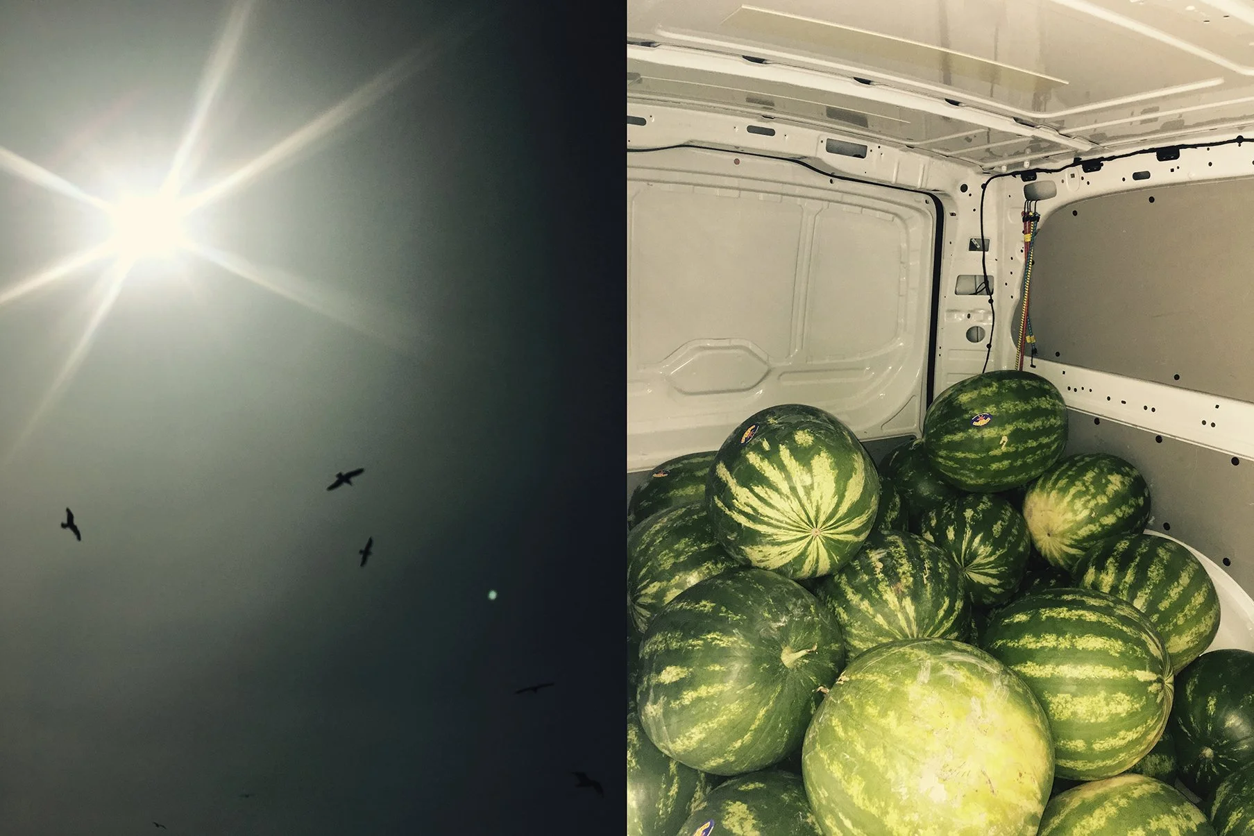 Ein Bild, das die untergehende Sonne am Himmel zeigt, mit fliegenden Vögeln im Vordergrund auf der linken Seite, und auf der rechten Seite einen Innenraum eines Lieferwagens, der mit mehreren Watermelon entwässert ist.