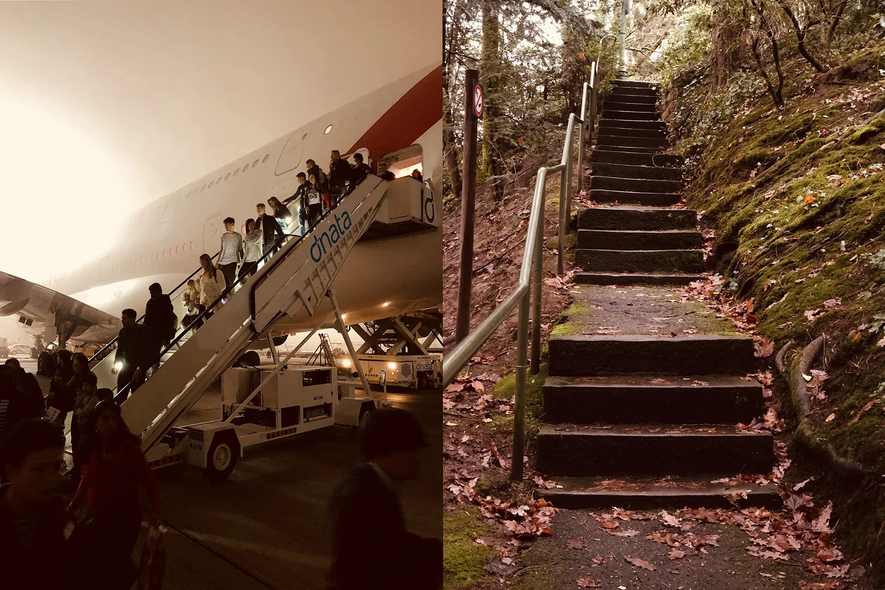 Flughafen mit Passagieren, die eine Flugzeugtreppe hinuntersteigen, und ein Waldweg mit Treppen im Herbst.
