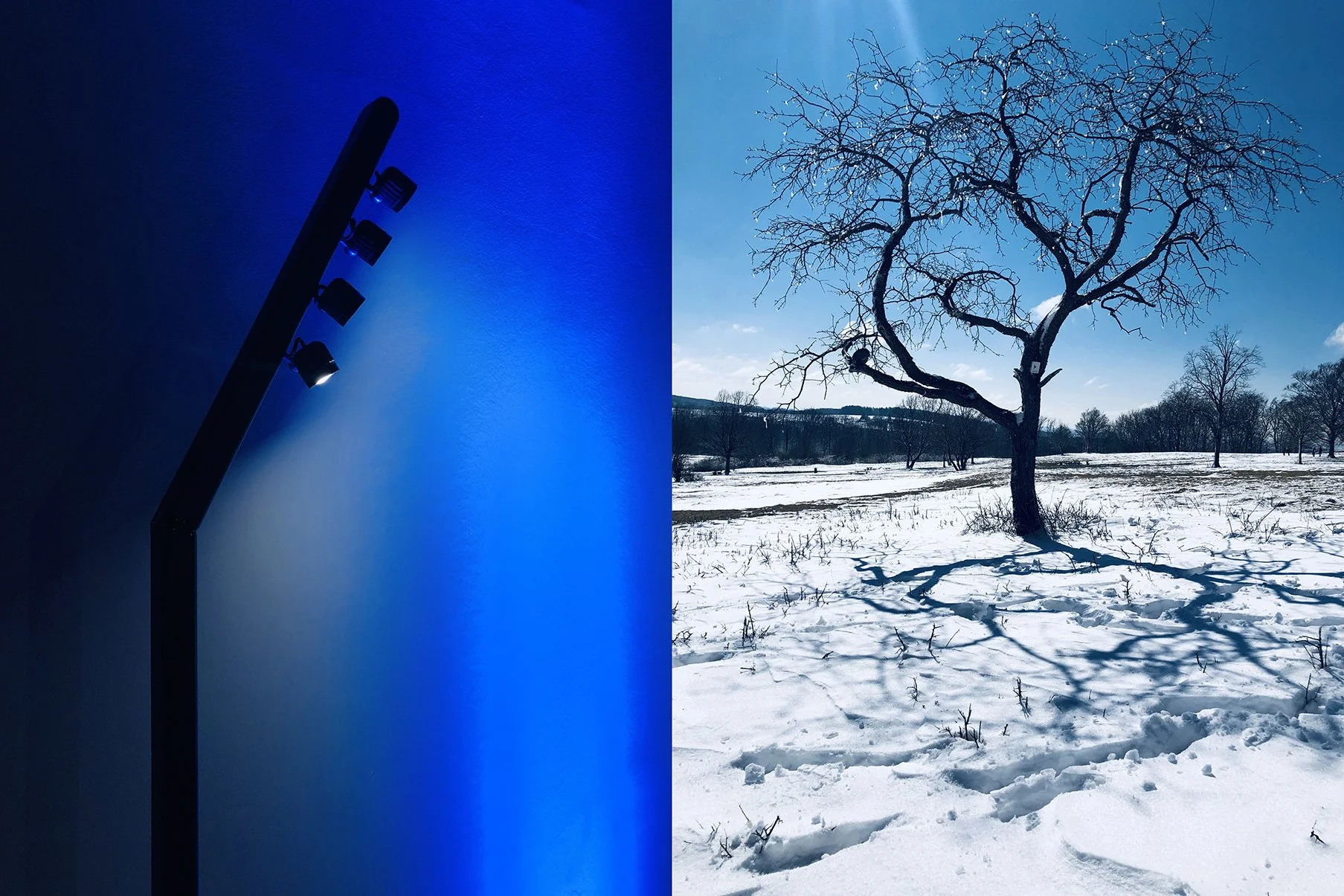 Linke Seite: Eine schwarze Stehlampe mit blauer Beleuchtung an der Wand. Rechte Seite: Ein einzelner Baum ohne Blätter in einer verschneiten Winterlandschaft bei sonnigem Wetter.