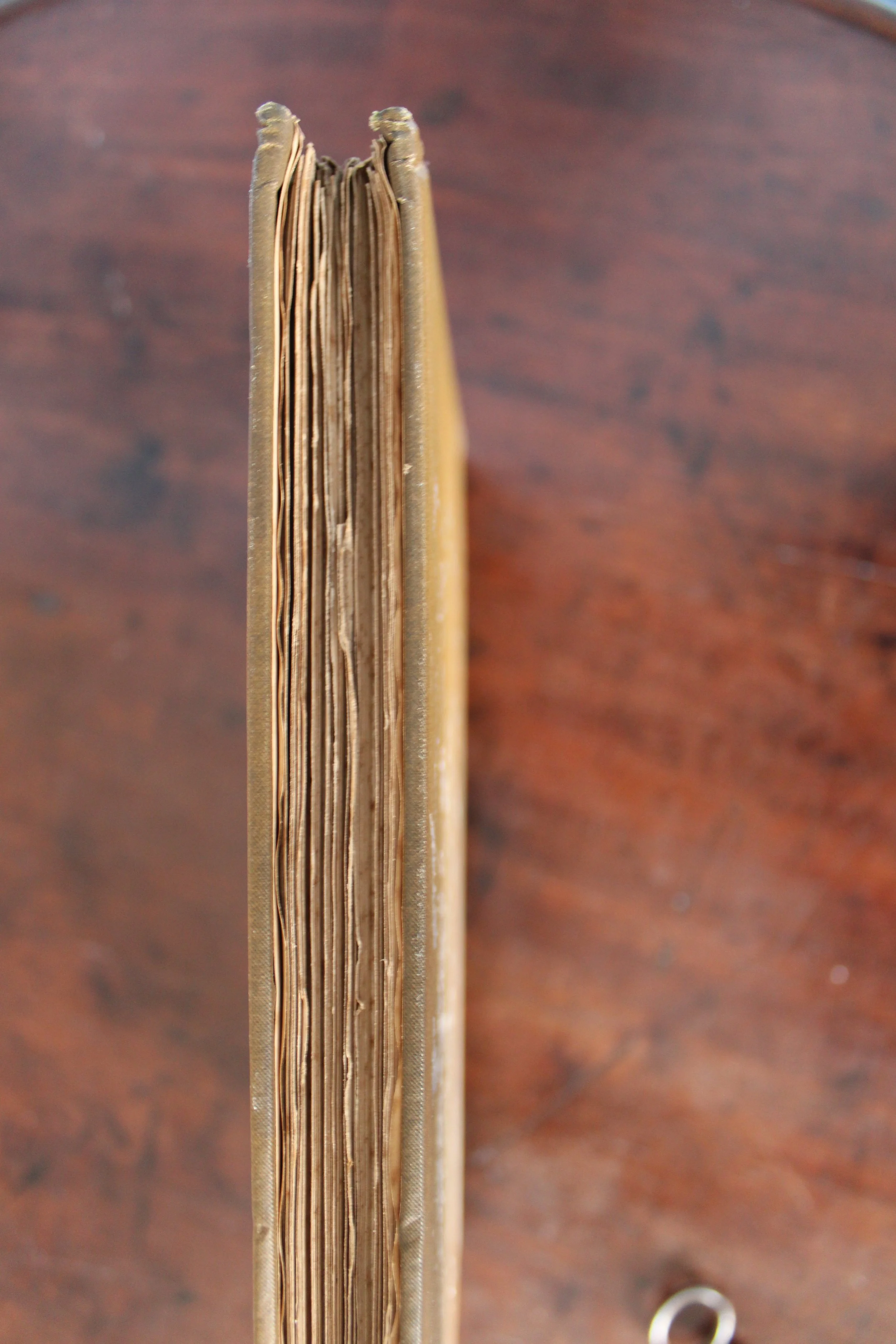 Folklore Dragon Book.jpg