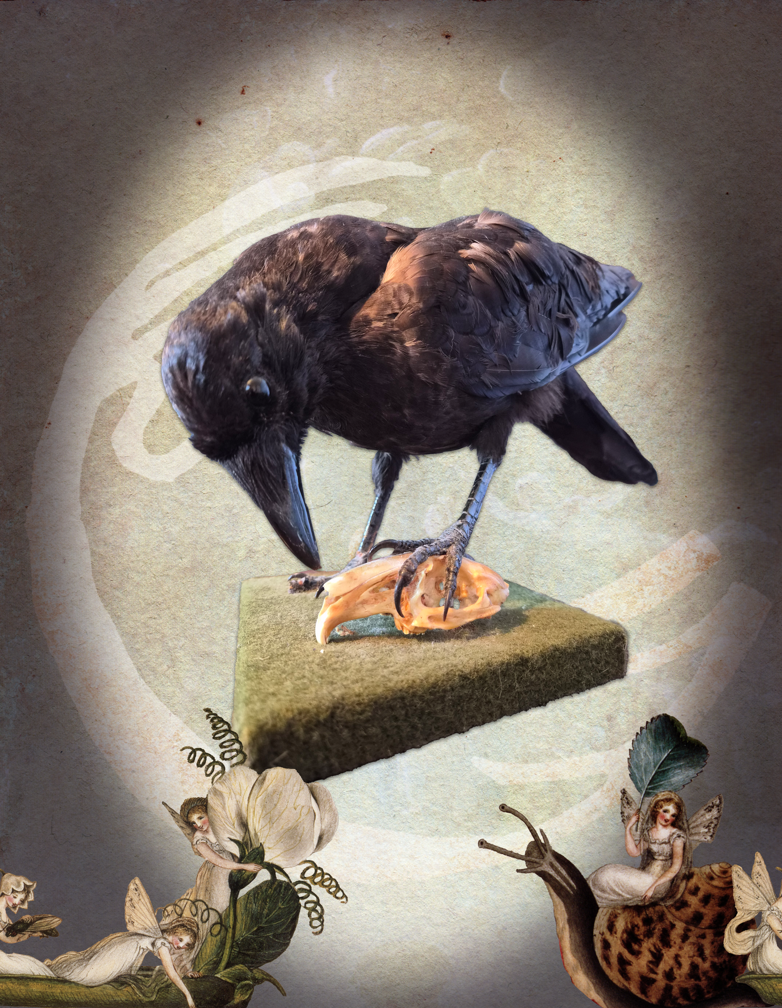 Old Crow