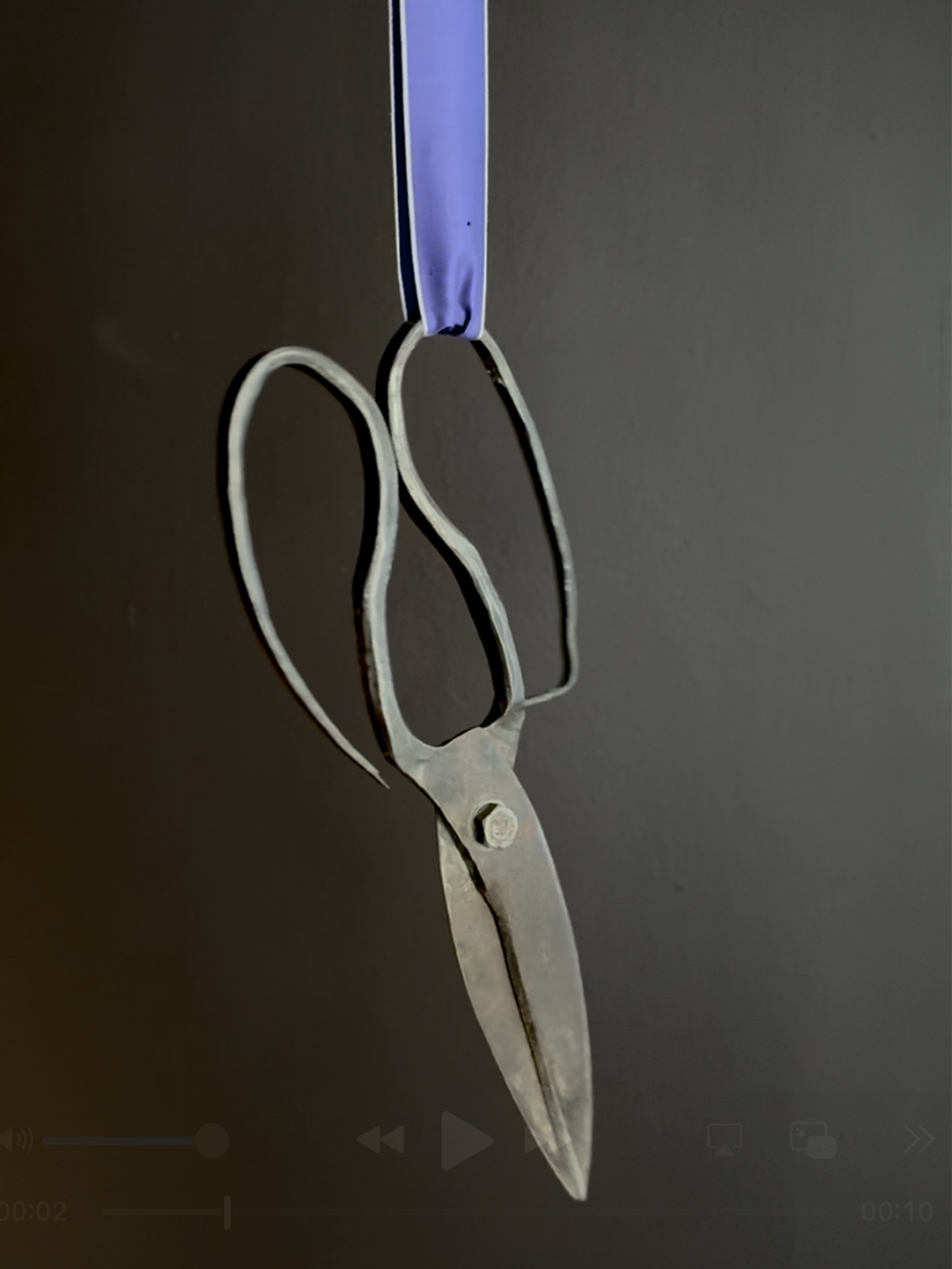 Blades of Boundary: 19th Century Iron Shears