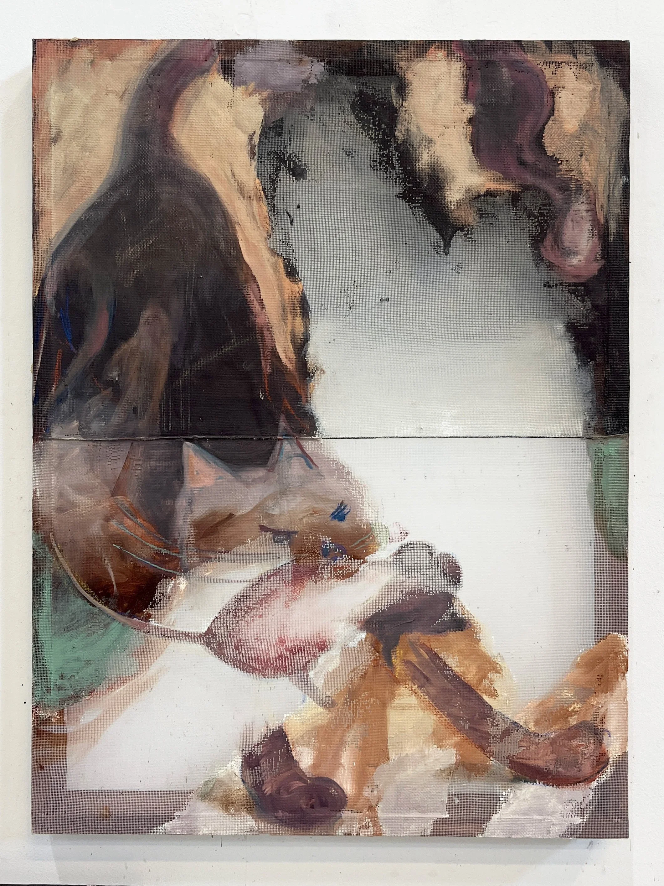 Chomp. 62 cm x 80 cm, Oil, Insect Screen, Pine, 2026.