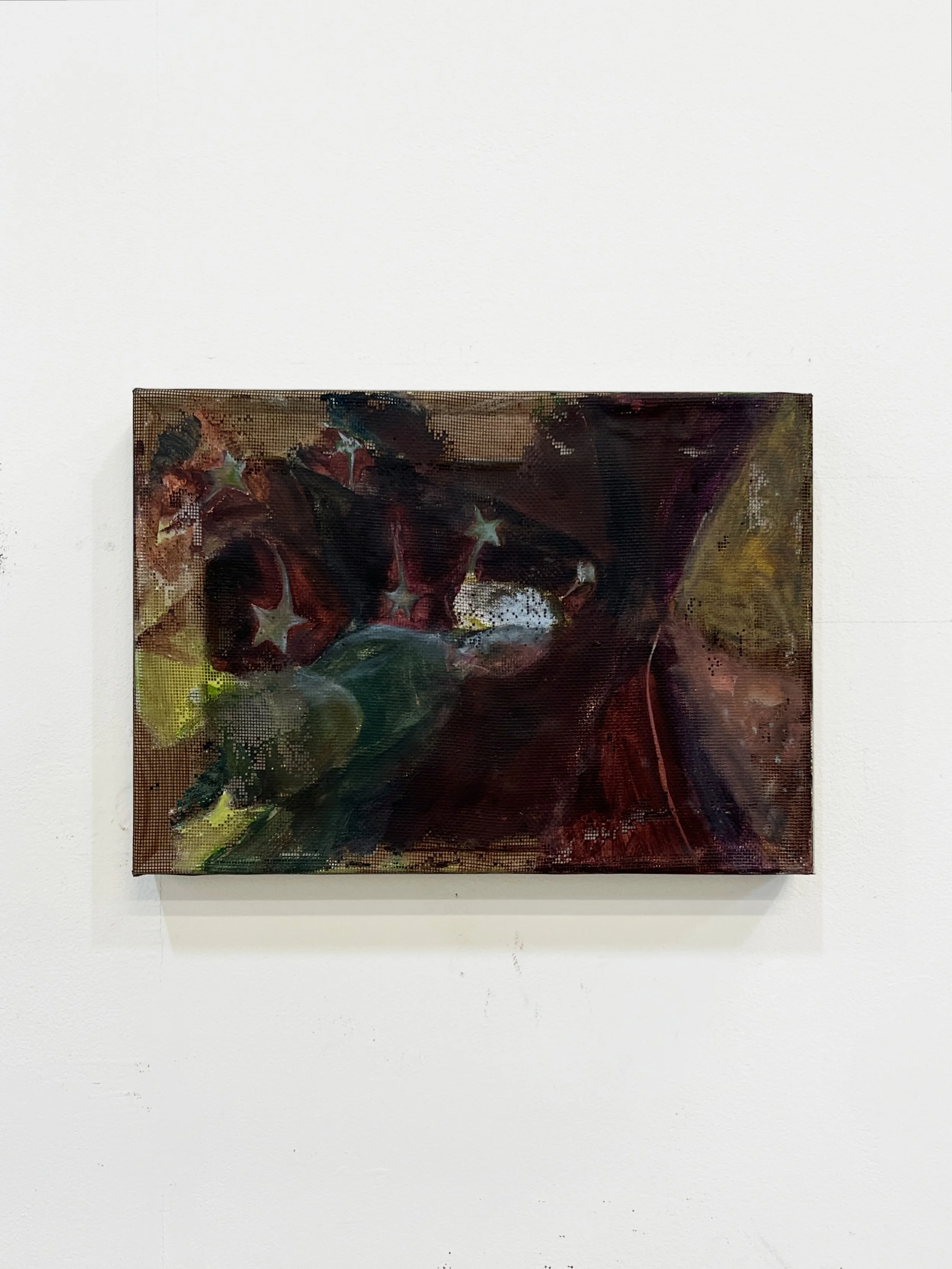 Bruise Easy, 25 cm x 35 cm, oil and acrylic on insect screen, 2026
