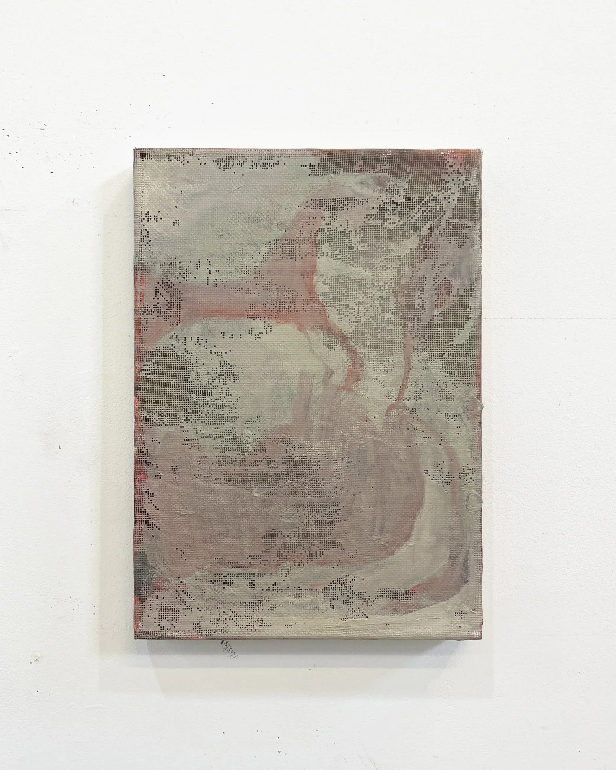 Some Presents are Handed Over with a Limp Hand, 25 cm x 35 cm, oil, insect screen, pine, 2026 