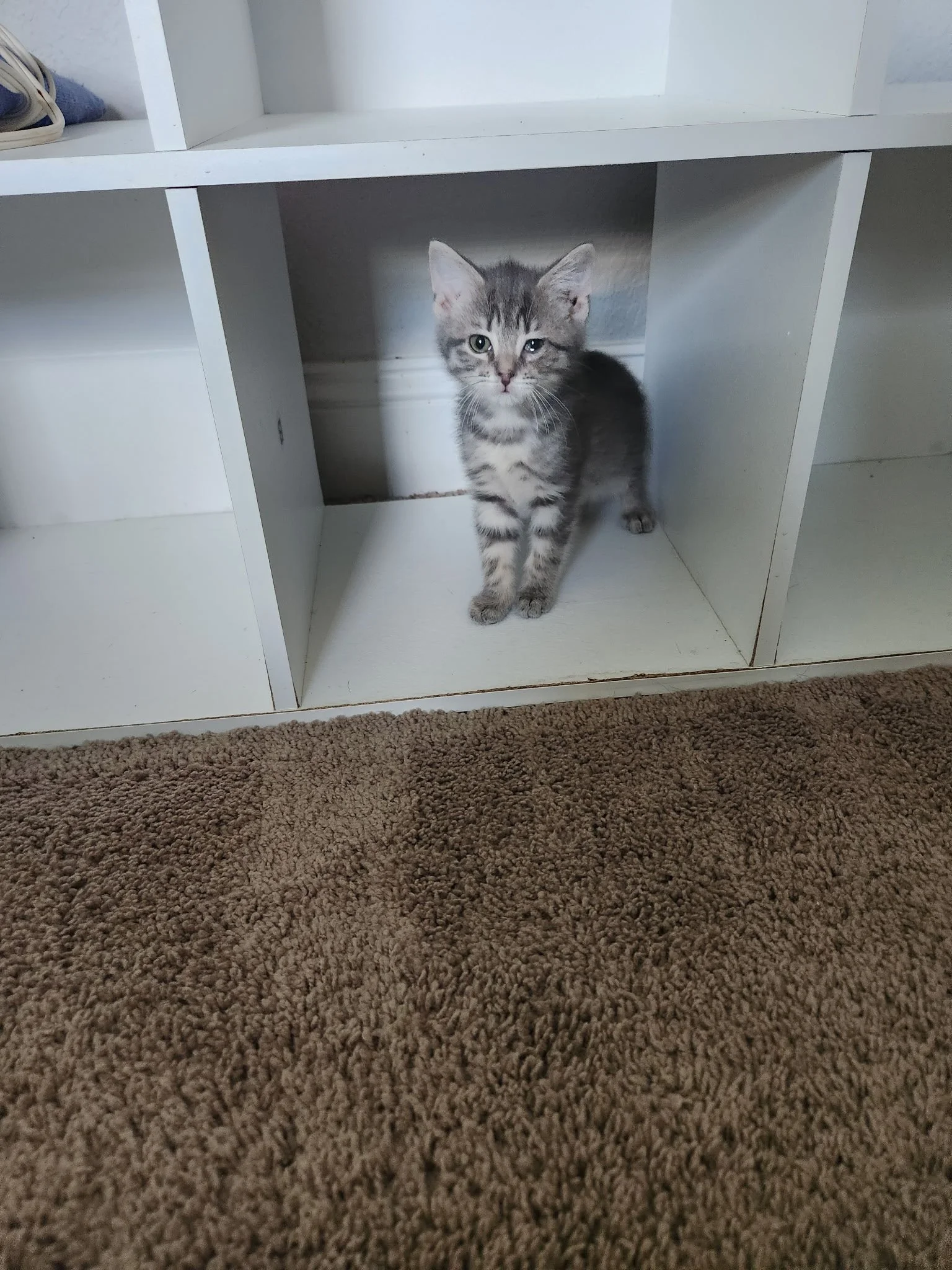 20260613_125540.JPG
