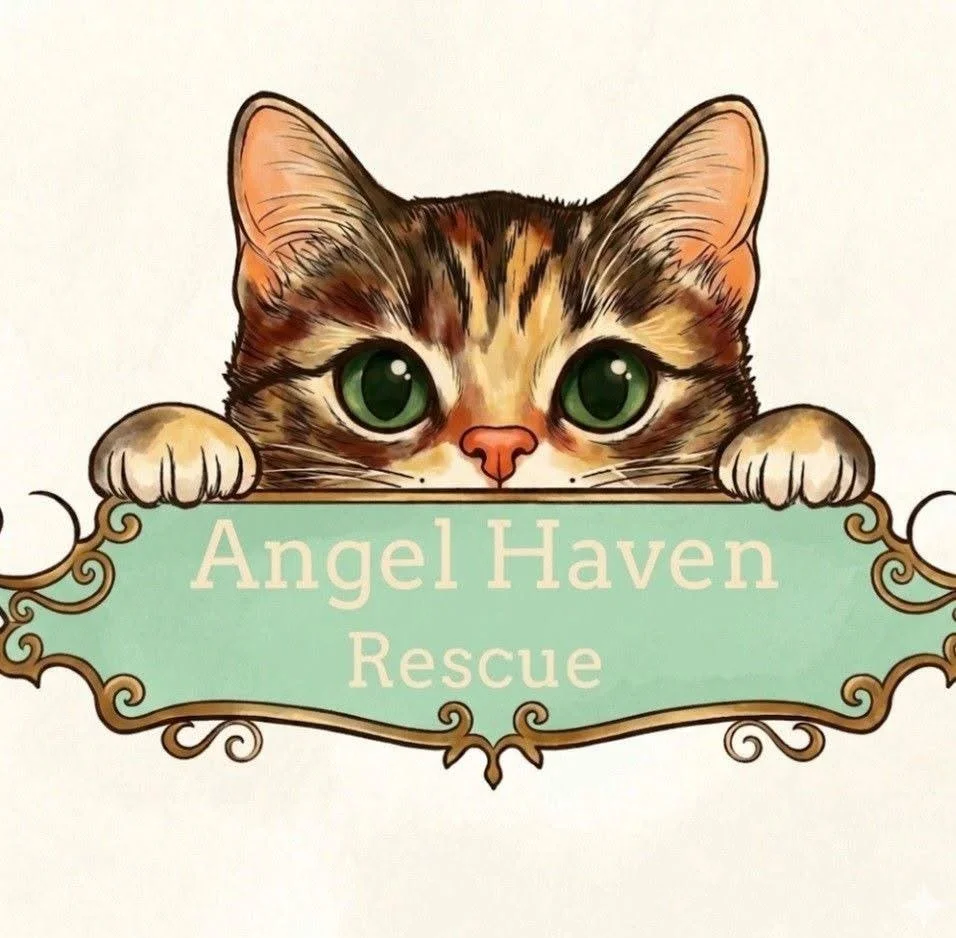 Angel Haven Rescue Logo