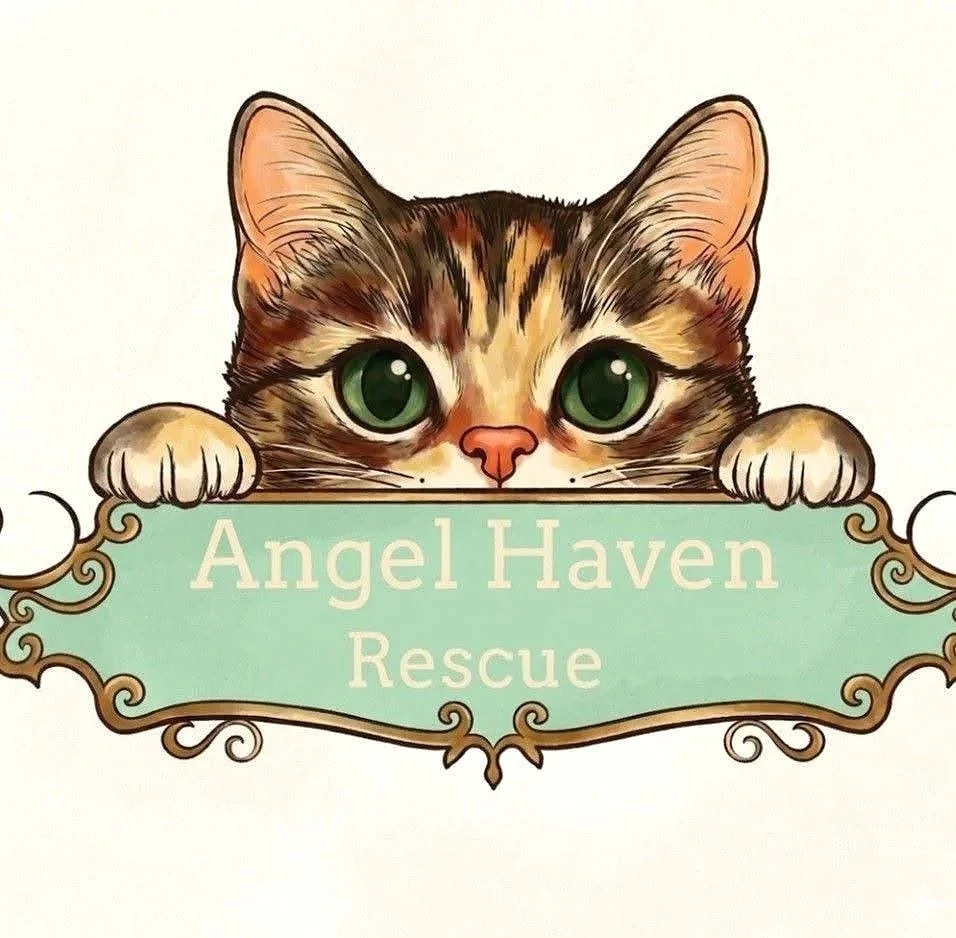 cat adoption logo