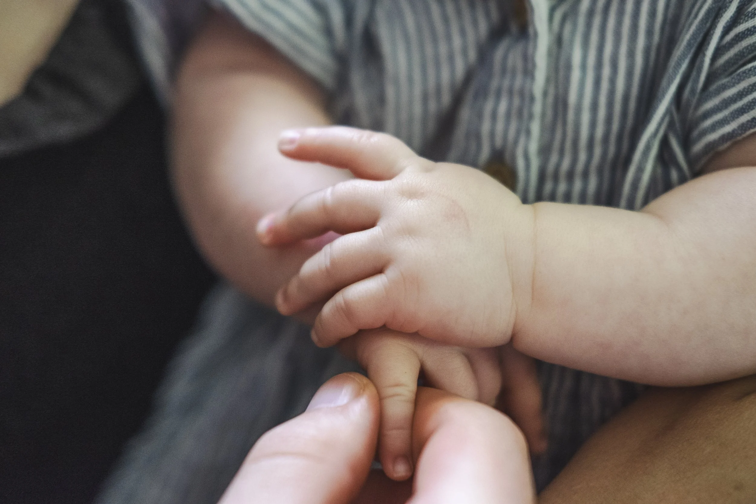 A close-up of a child's hand being held by an adult's hand.