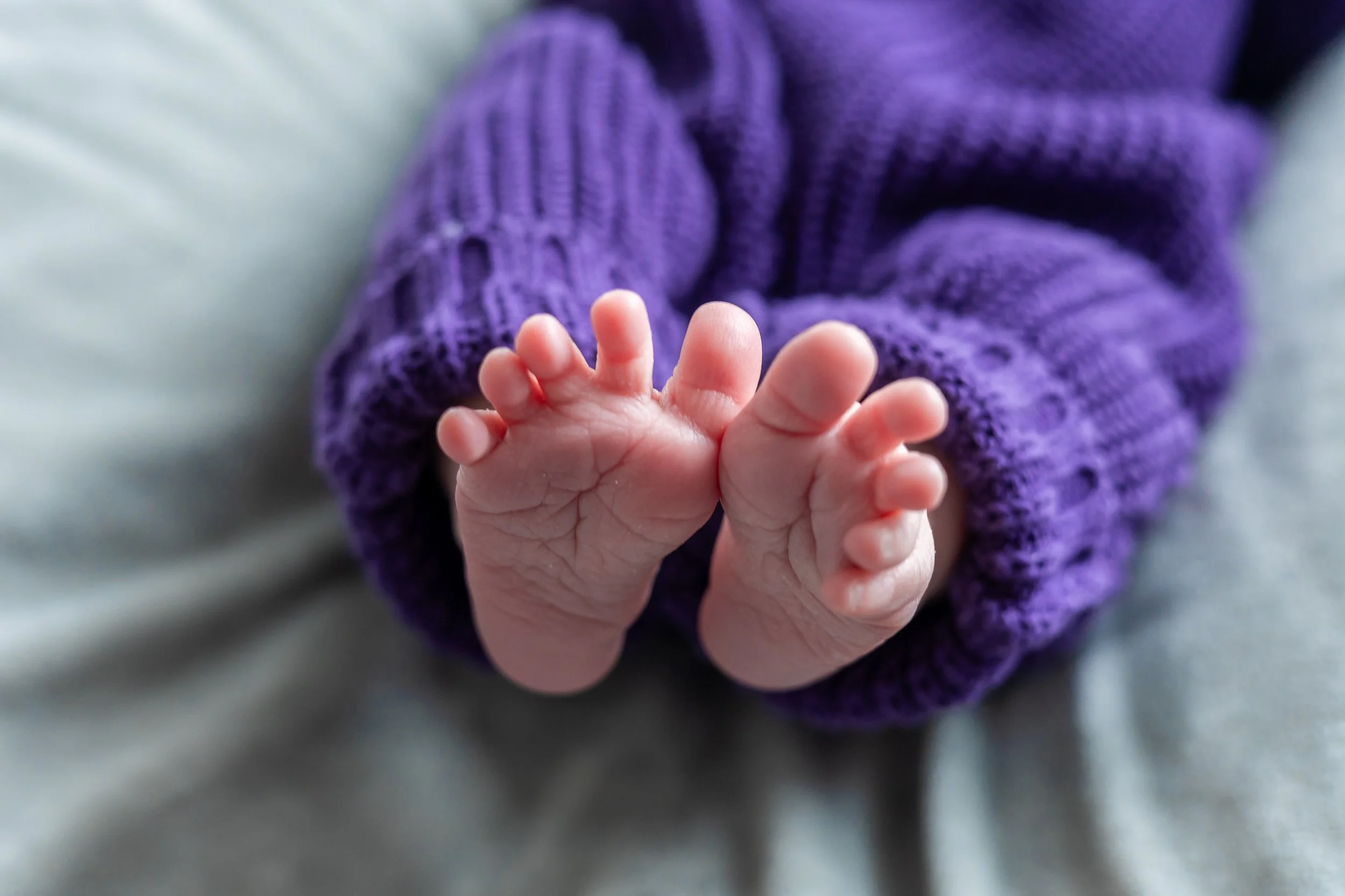 Close-up of a small baby's feet with toes curled, wearing a purple knitted sweater.