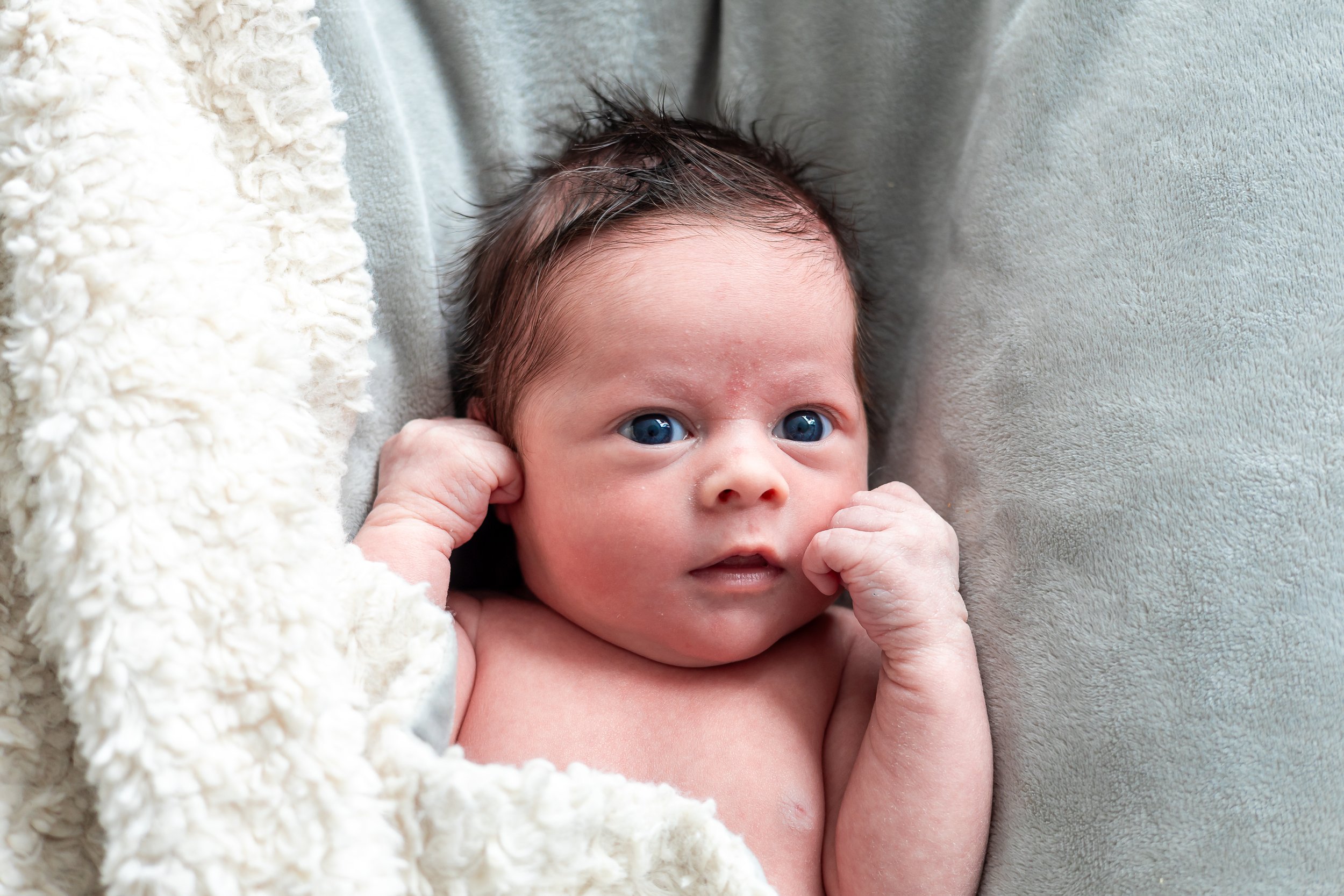 Close-up of a newborn baby with blue eyes lying on soft blankets, holding their fists near their face.
