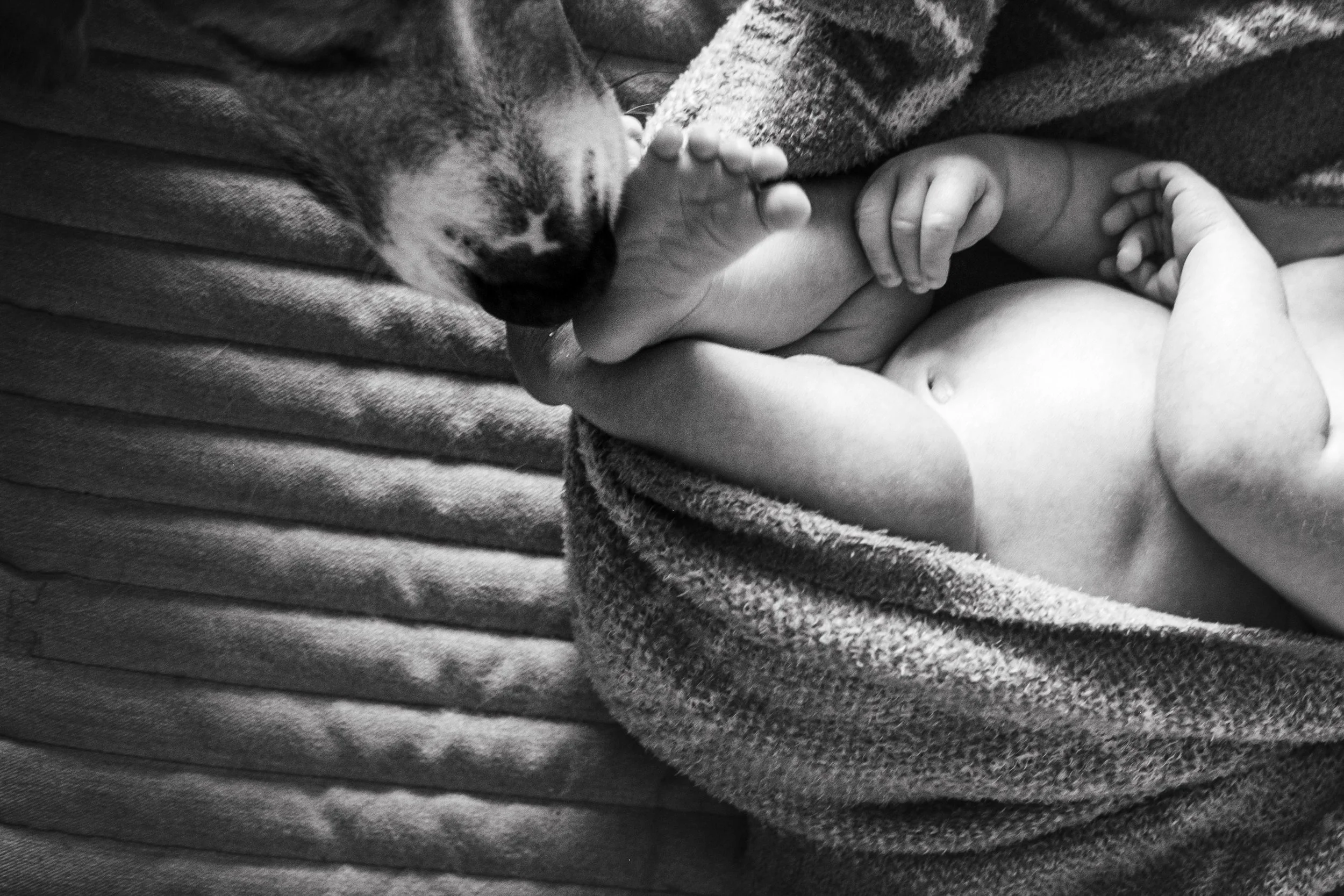 A sleeping dog with one paw extended, licking a baby's toes, in a cozy setting with blankets.