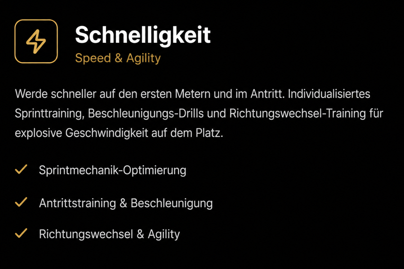 Informationsblatt mit dem Titel ‚Schnelligkeit‘ auf Deutsch, Überschrift ‚Speed & Agility‘, mit Text über das Training für Geschwindigkeit, Agilität und Reaktionsfähigkeit samt drei Checklisten. Hintergrund schwarz, Text in Weiß und Gold.