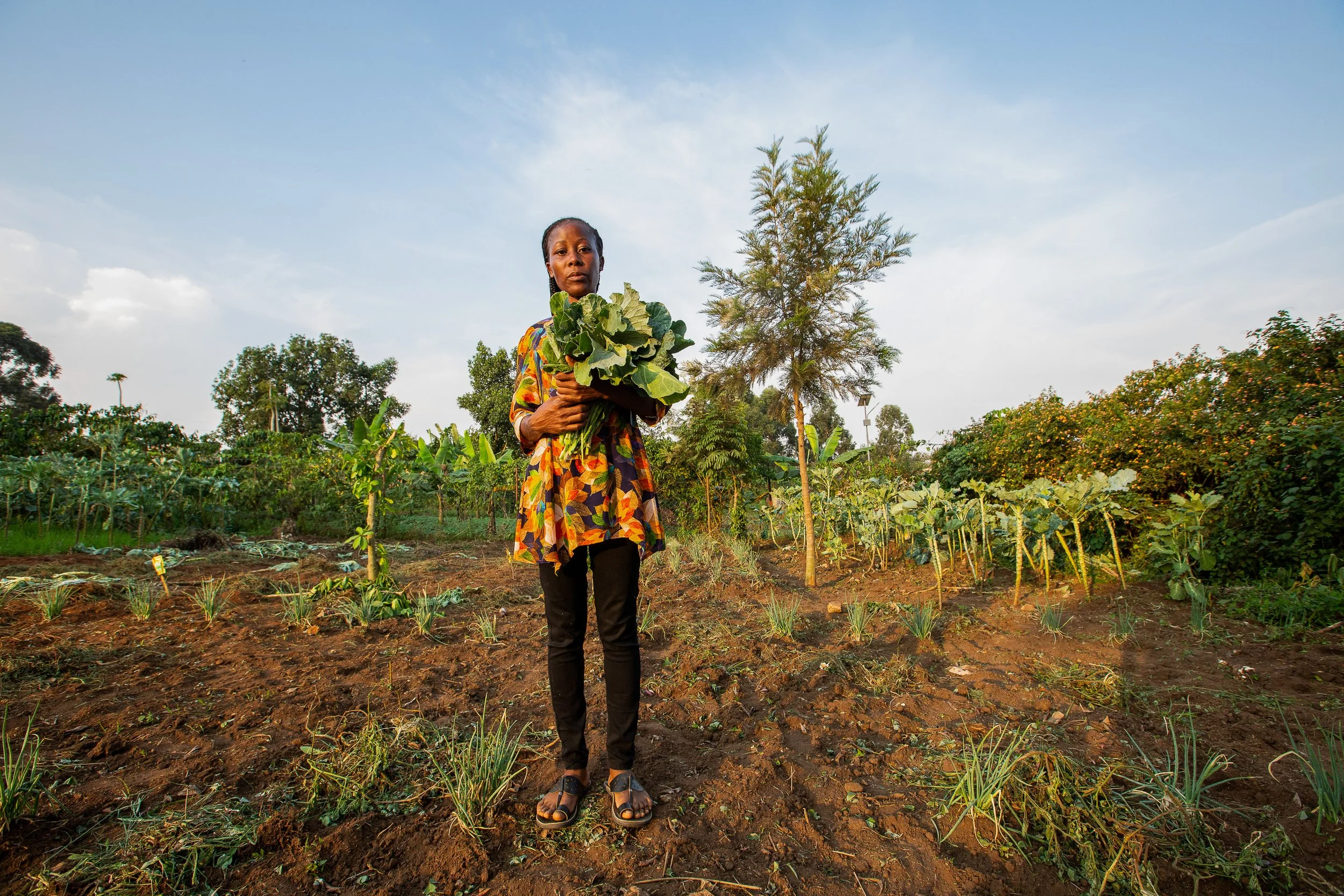 Ruth stands in her field holding her crop at sunset. 