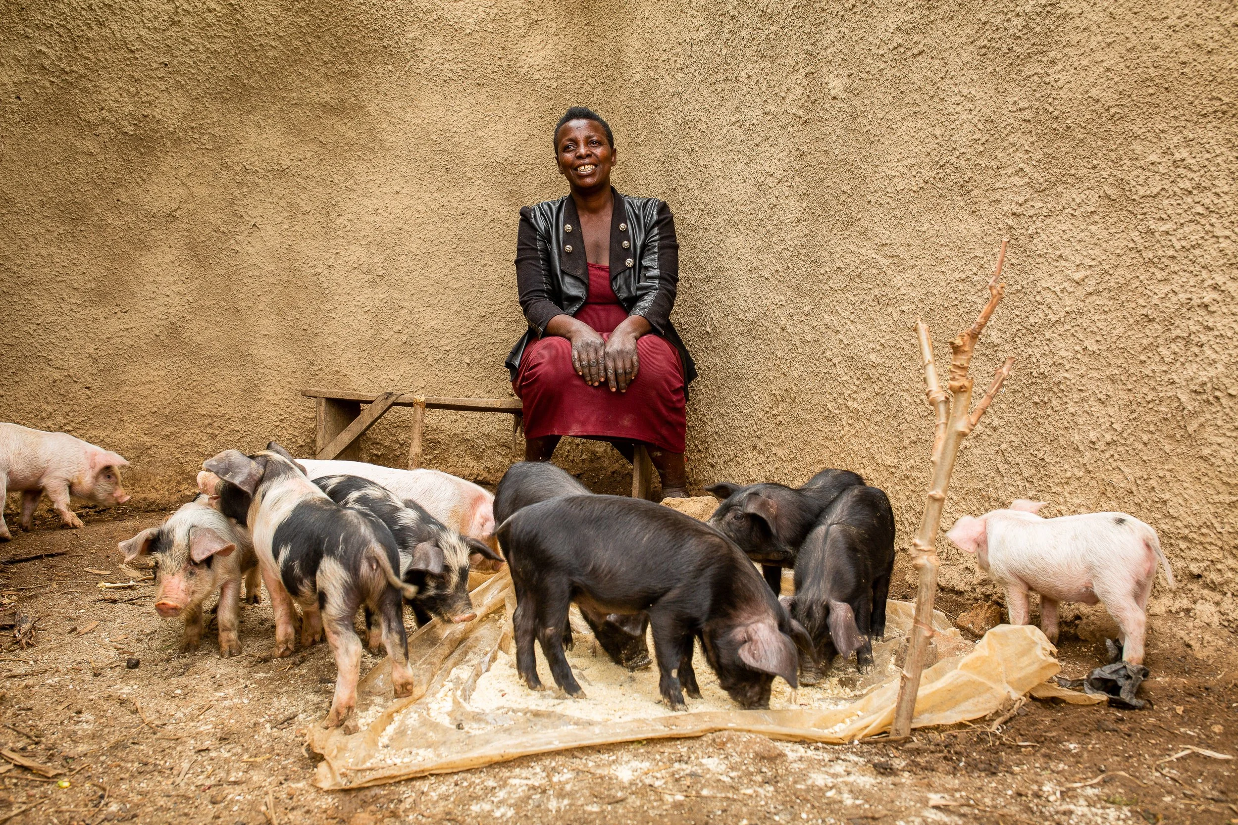 Salama sits on a wooden bench outside with her pigs around her feet. 