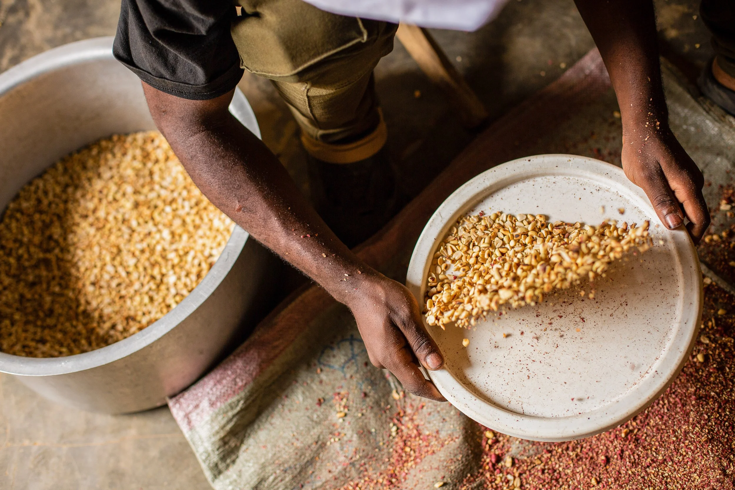 A NutriShield employee sifts peanuts.
