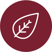 icon of a leaf