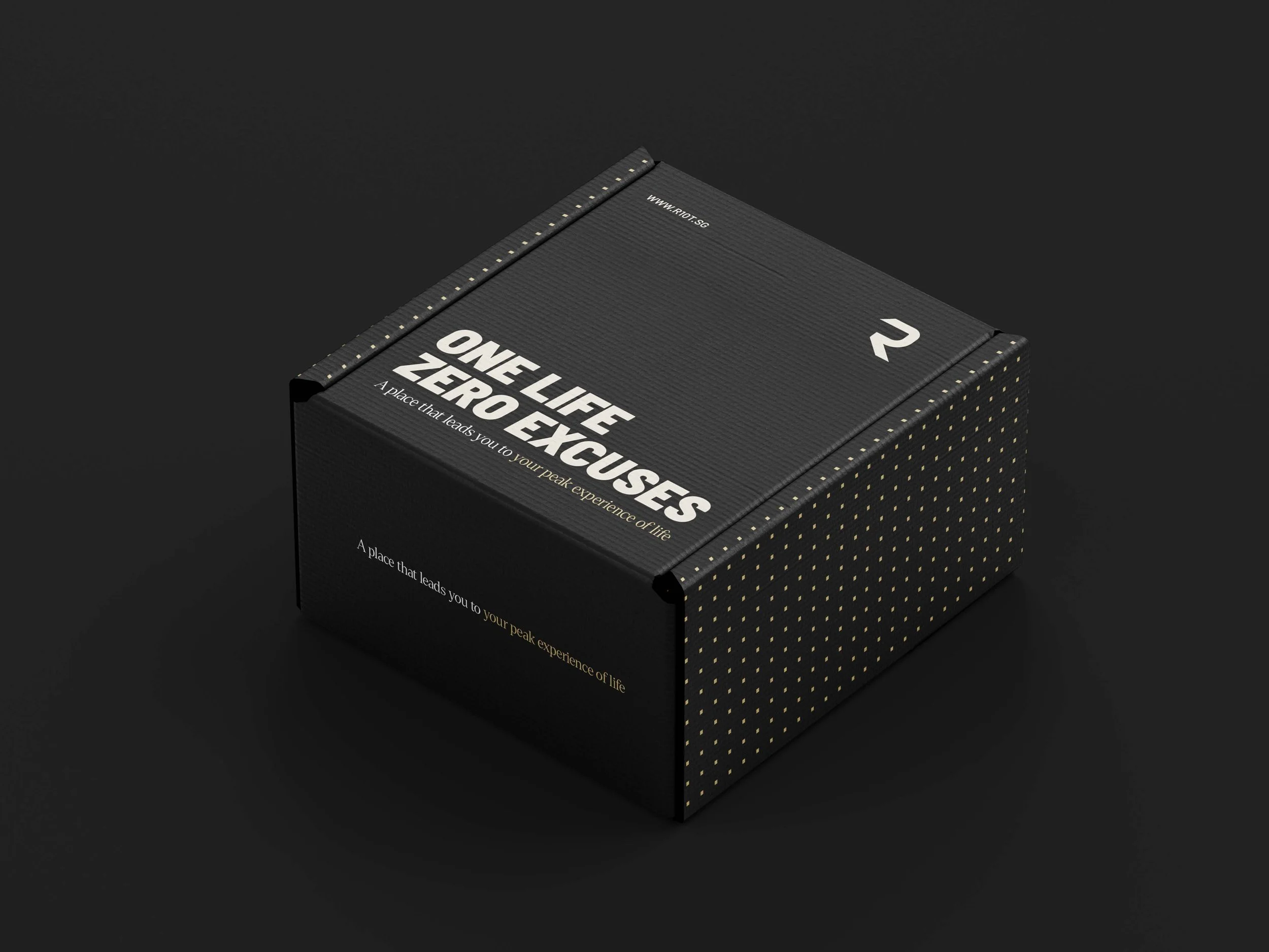 r10t delivery box mocks.jpg