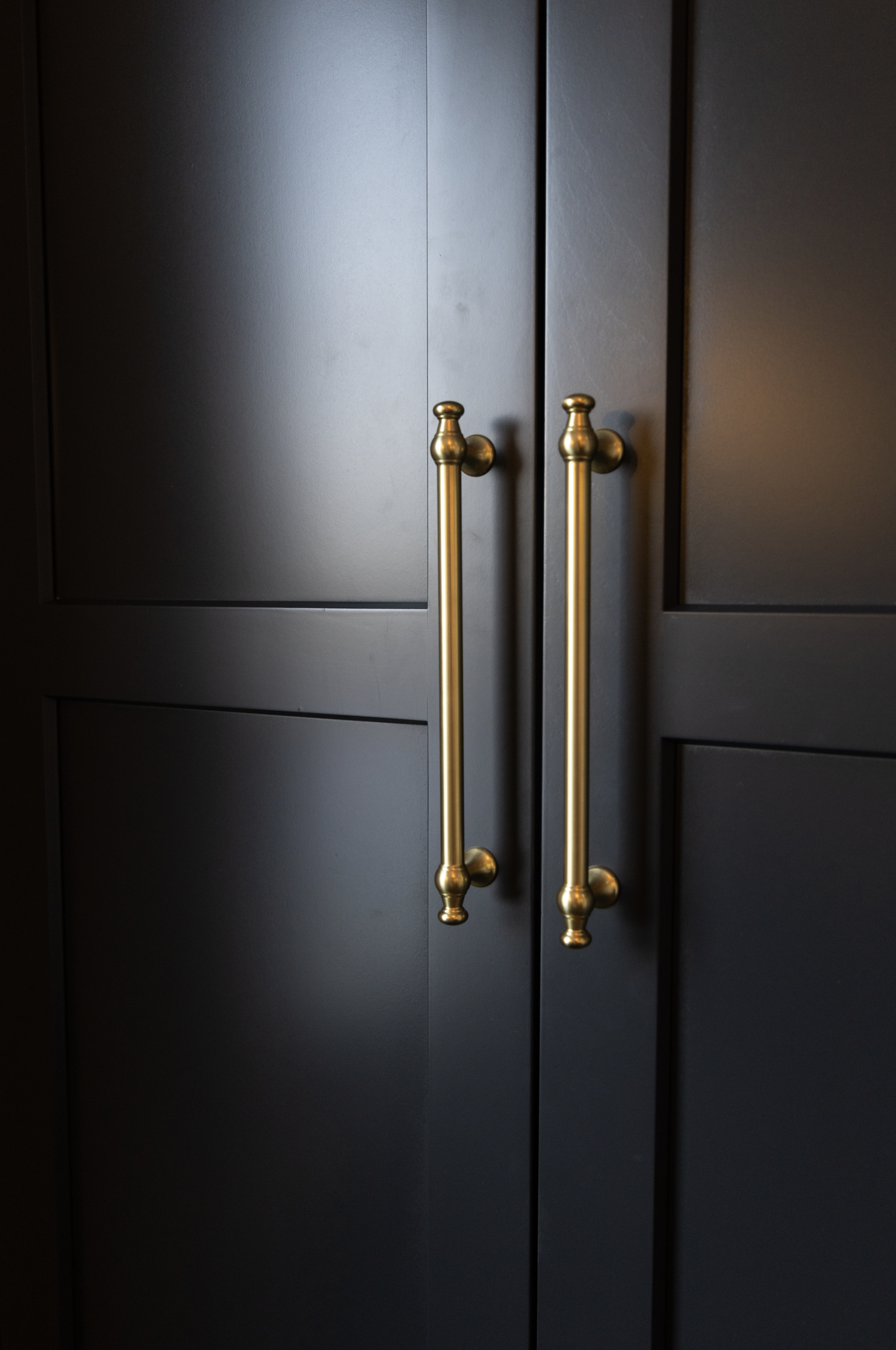 Close-up of black cabinet doors with golden handles.