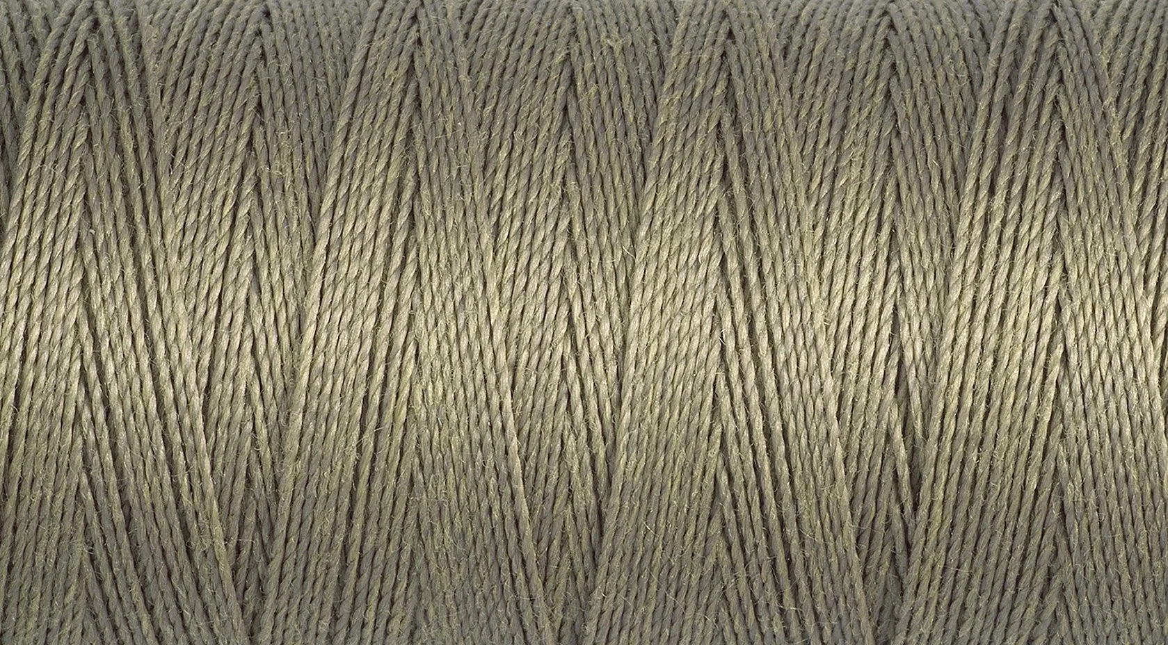 2T100E_724.jpg