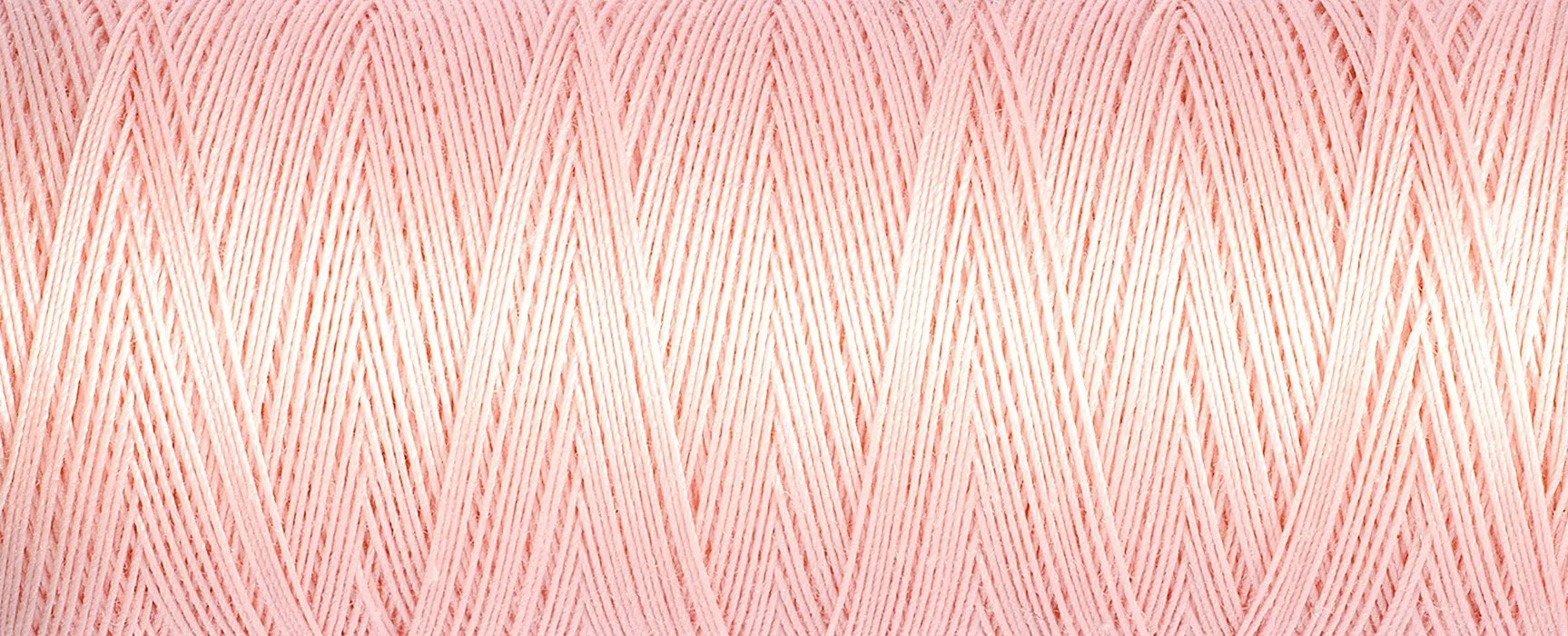 2T100C_2228.jpg