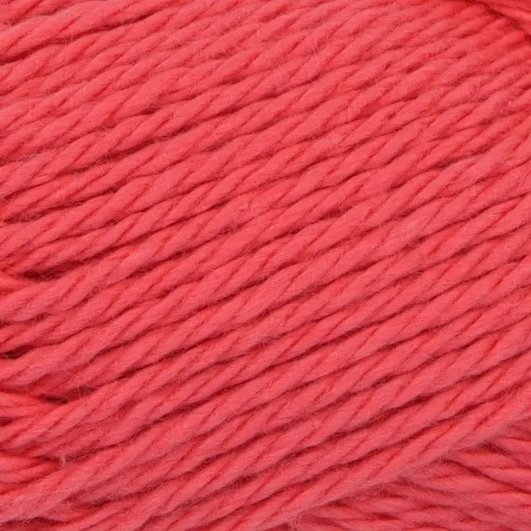 salmon.webp