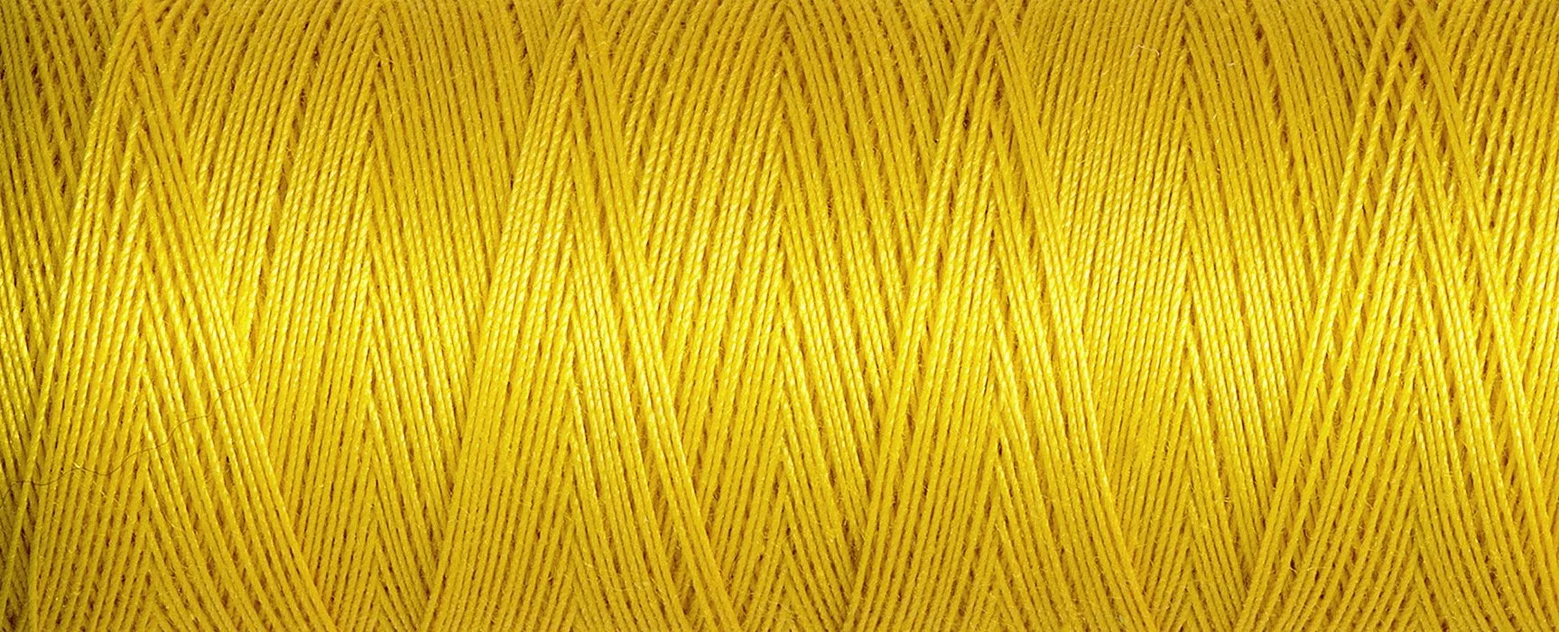 2T100C_0688.jpg