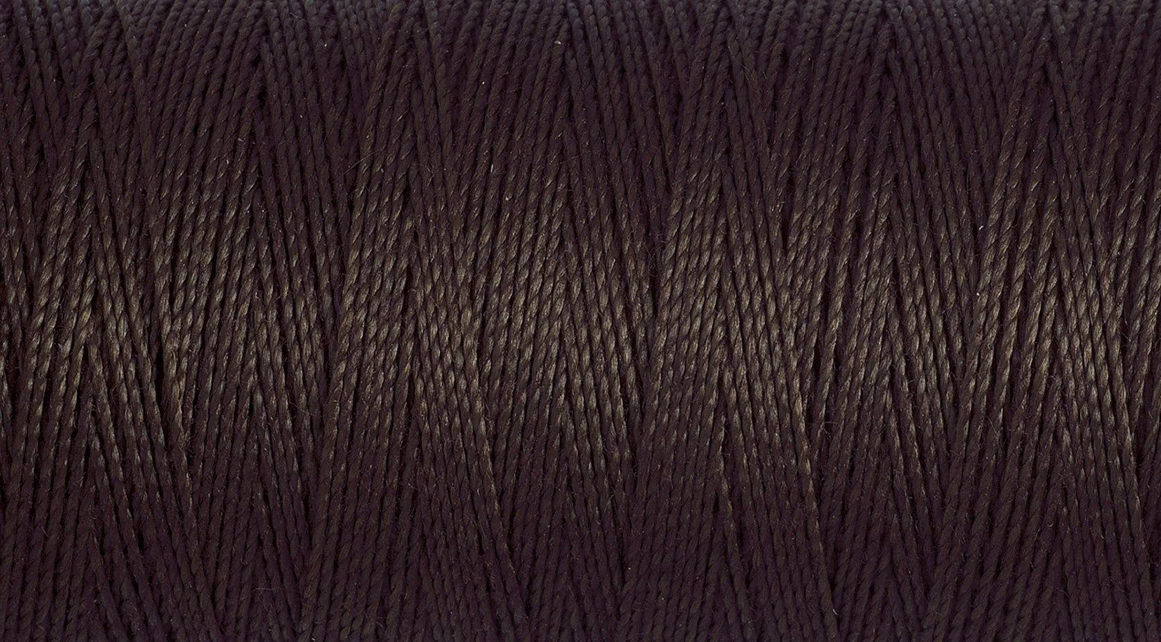 2T100E_696.jpg