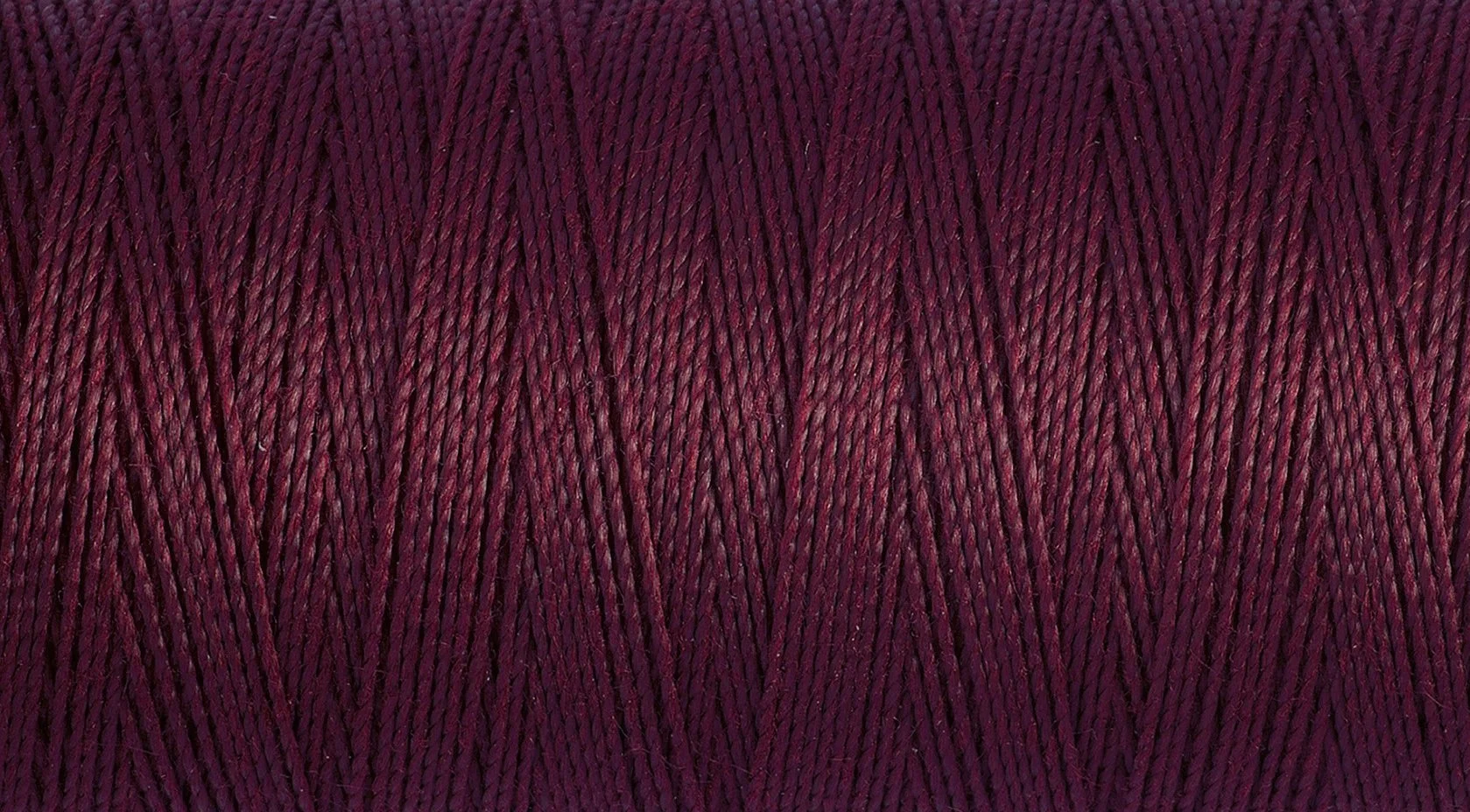 2T100E_369.jpg