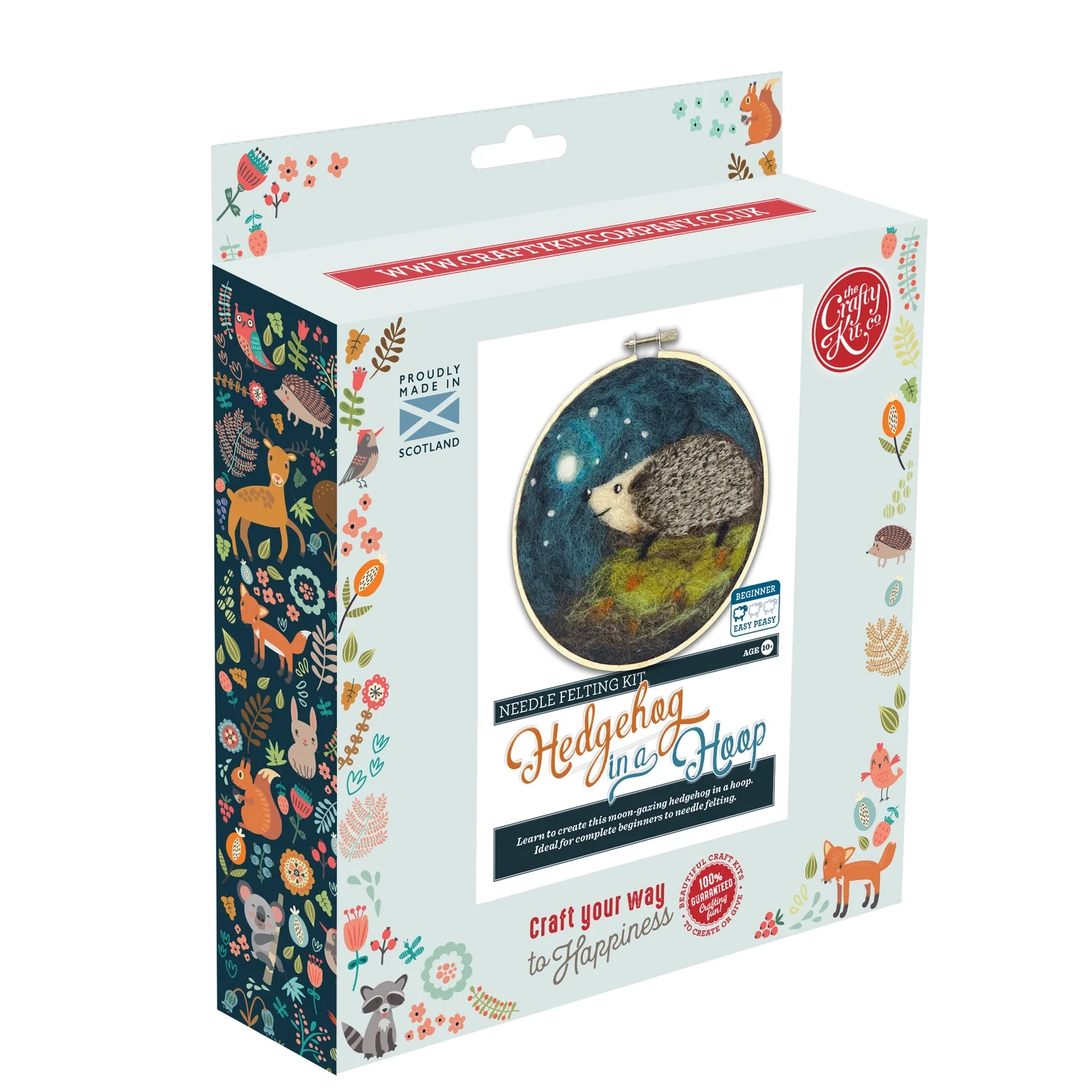 Hedgehog in A Hoop Needle Felting Craft Kit