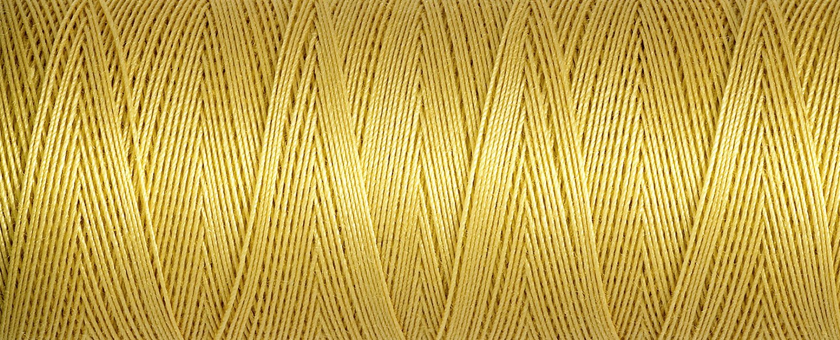 2T100C_0758.jpg