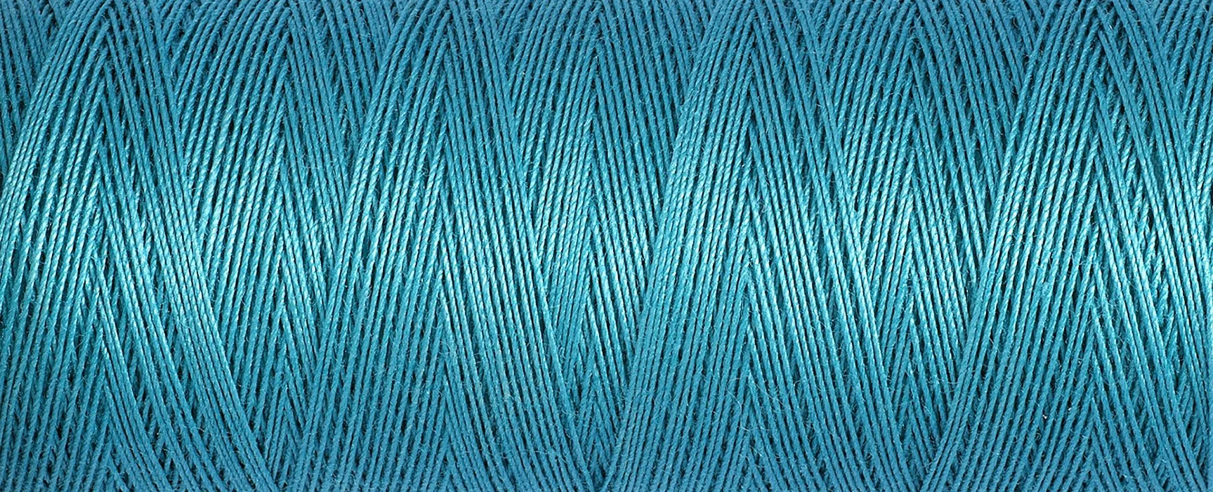 2T100C_7235.jpg