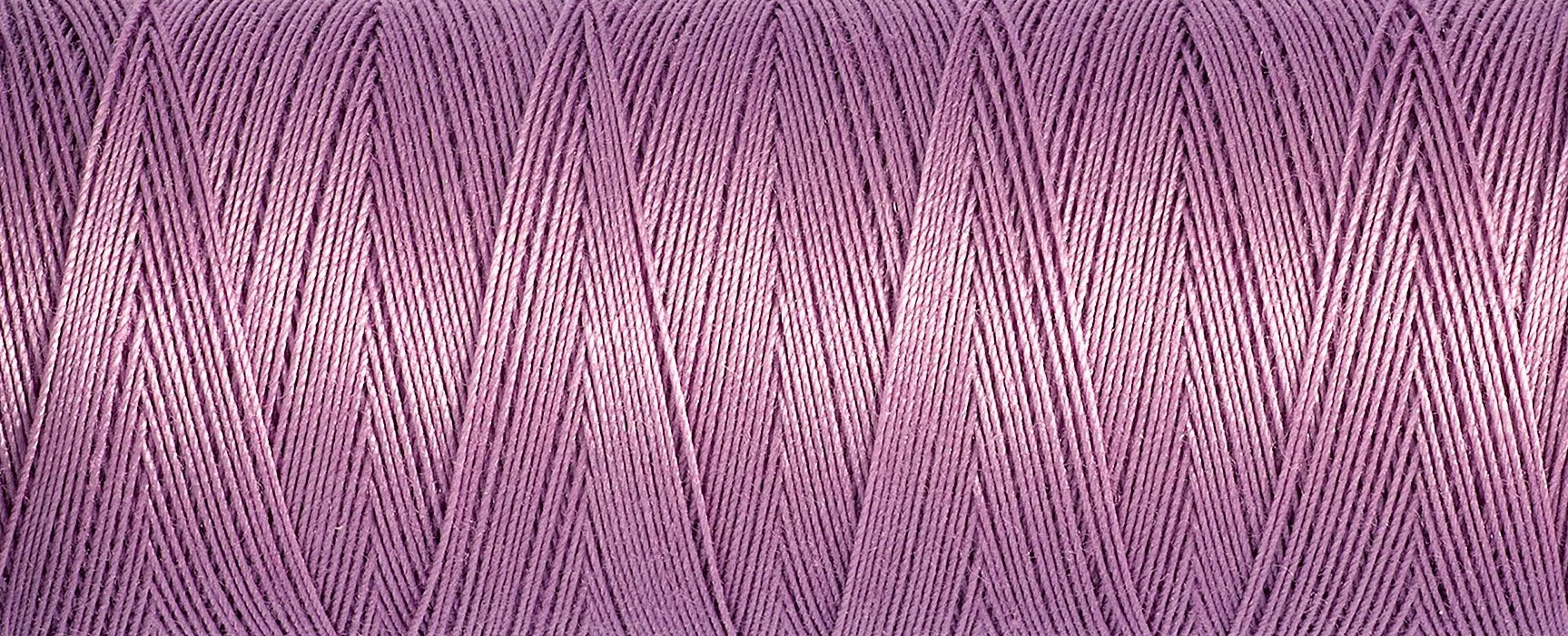 2T100C_3526.jpg
